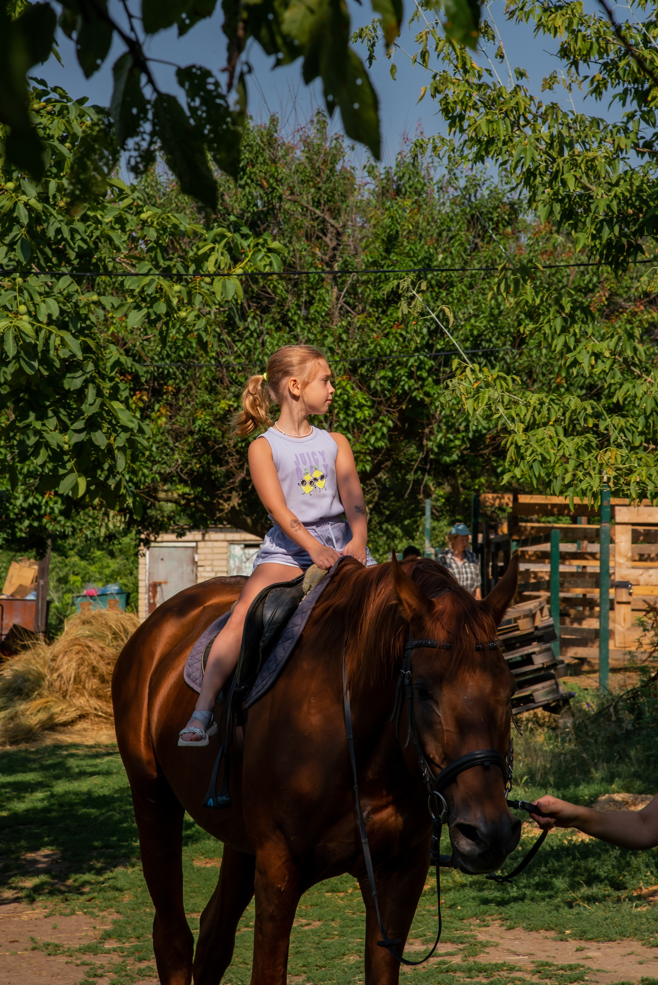Конная прогулка. Фотограф Галина Нестерова