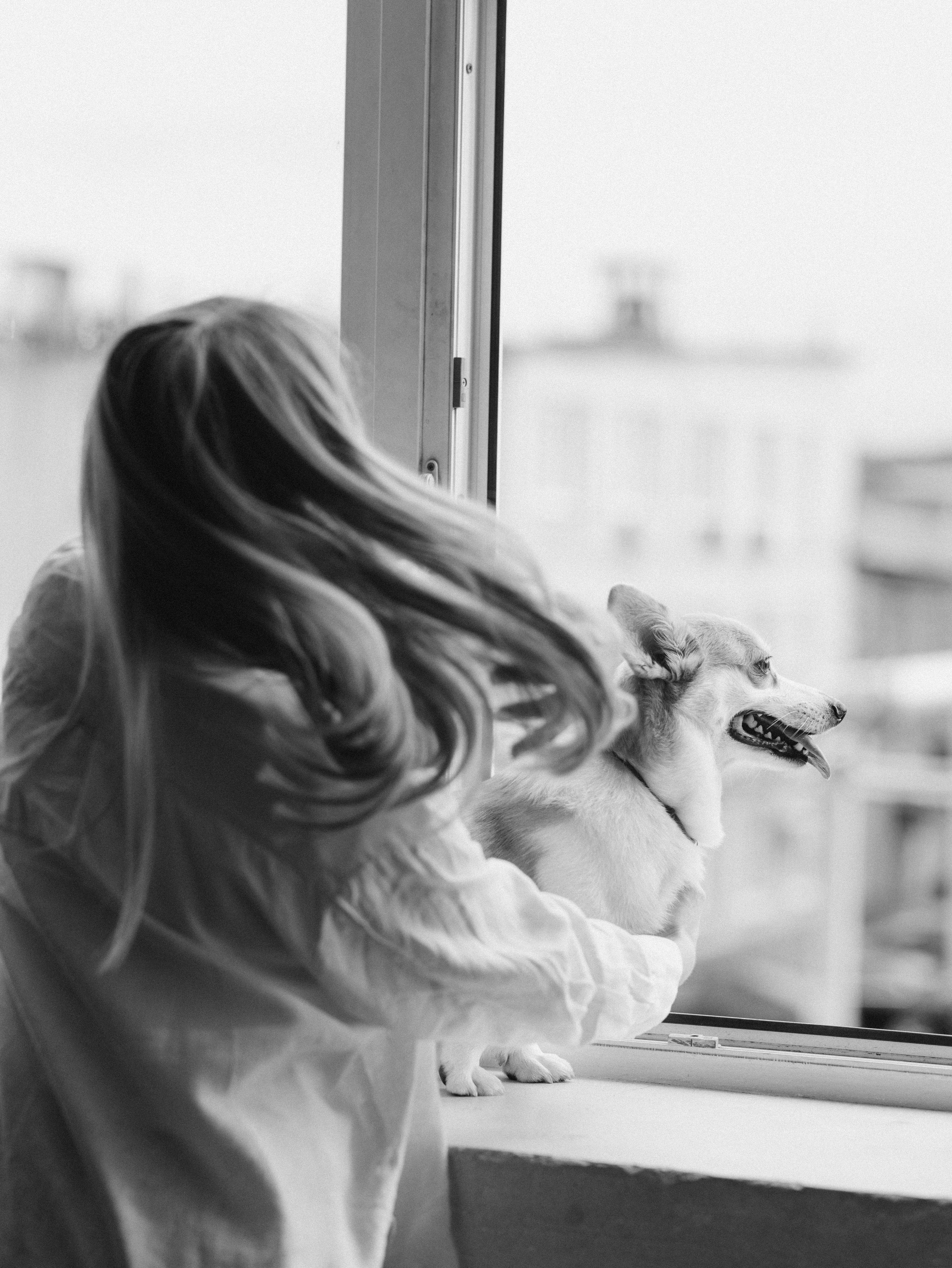 Оливка и Ника. Фотограф-анималист в Москве Кириллова Татьяна