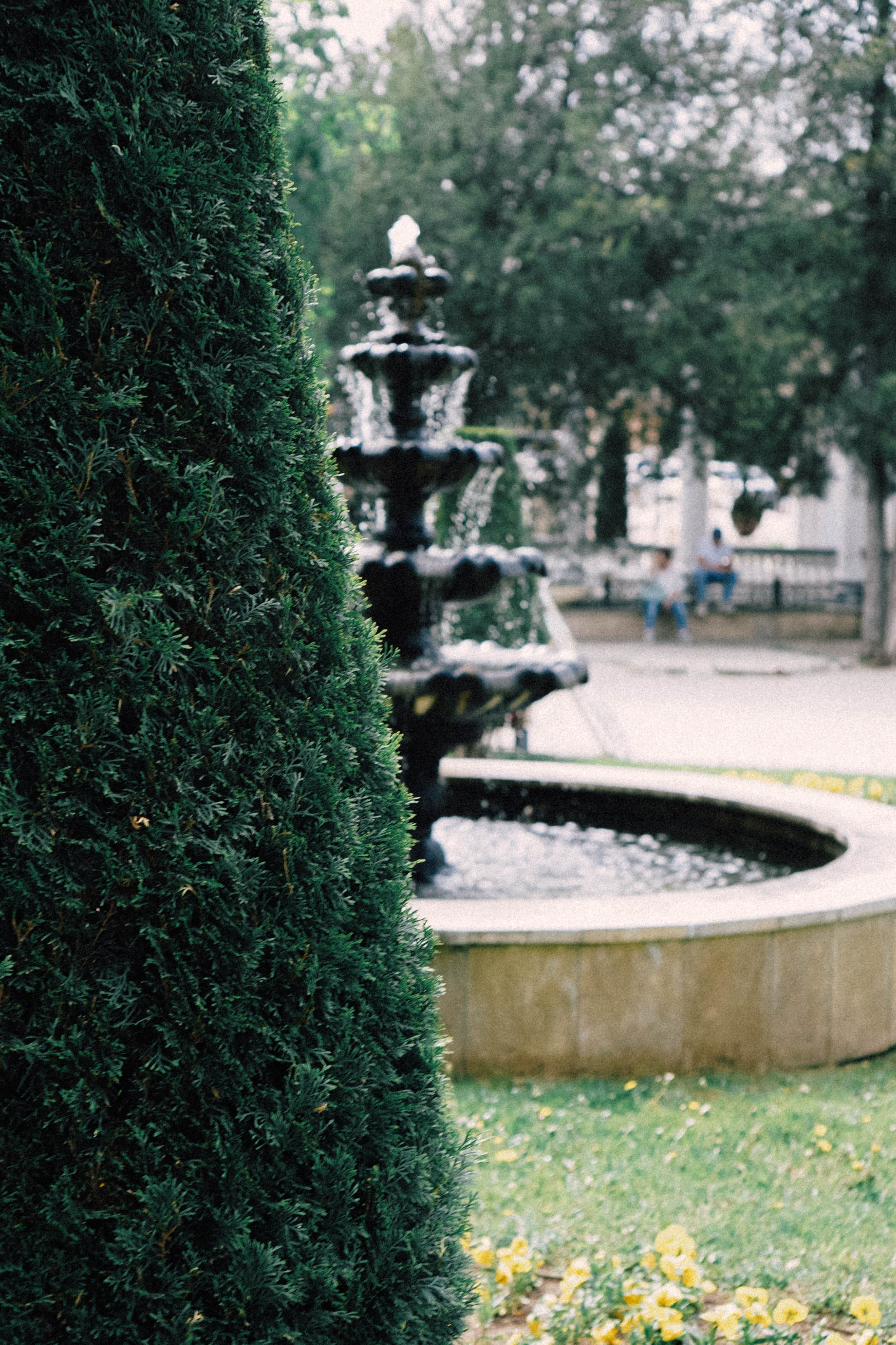 КИСЛОВОДСК. Профессиональный фотограф, Санкт-Петербург — Виктория Богомолова