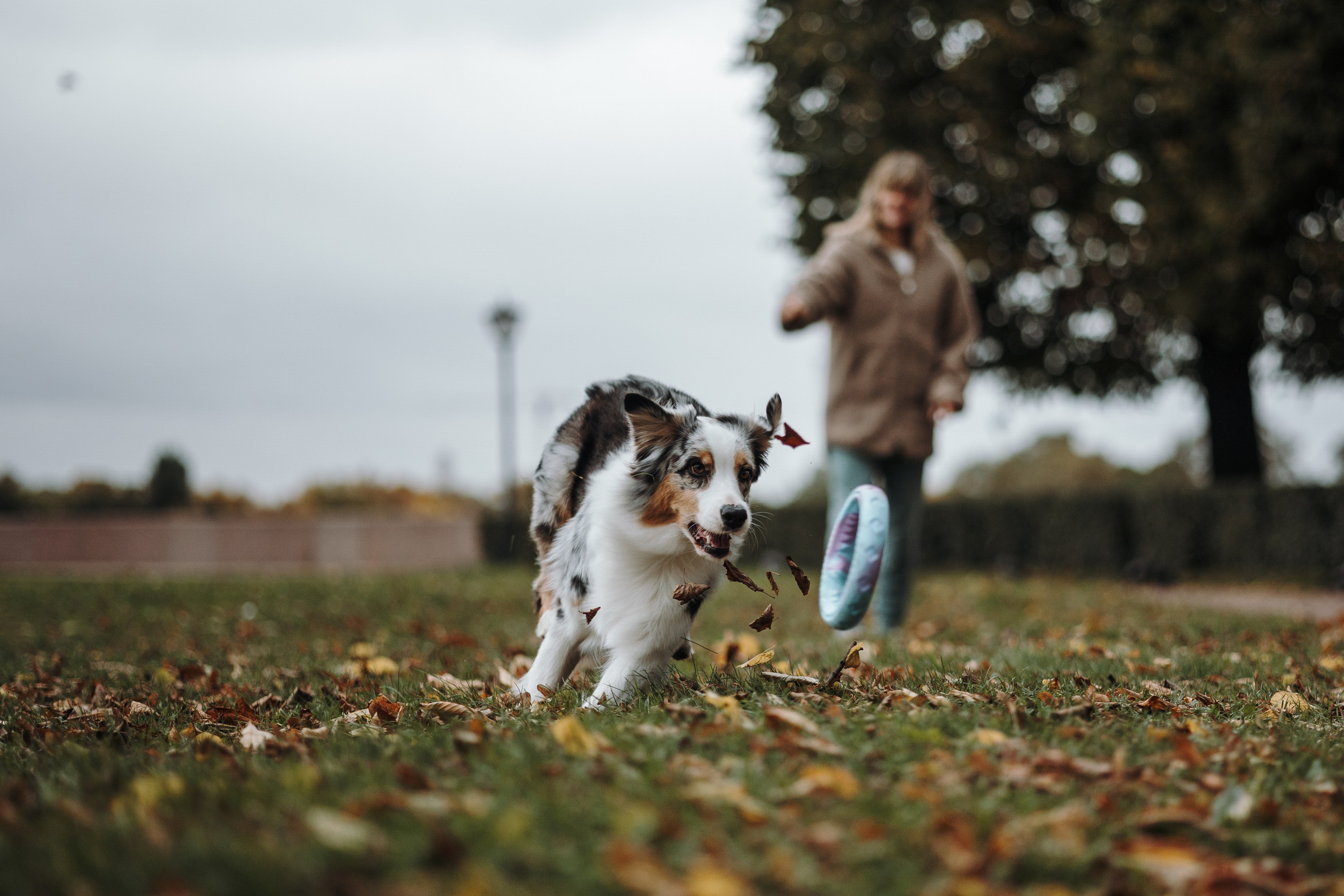 Ирина и Кайса. Фотограф — Анималист | Санкт-Петербург