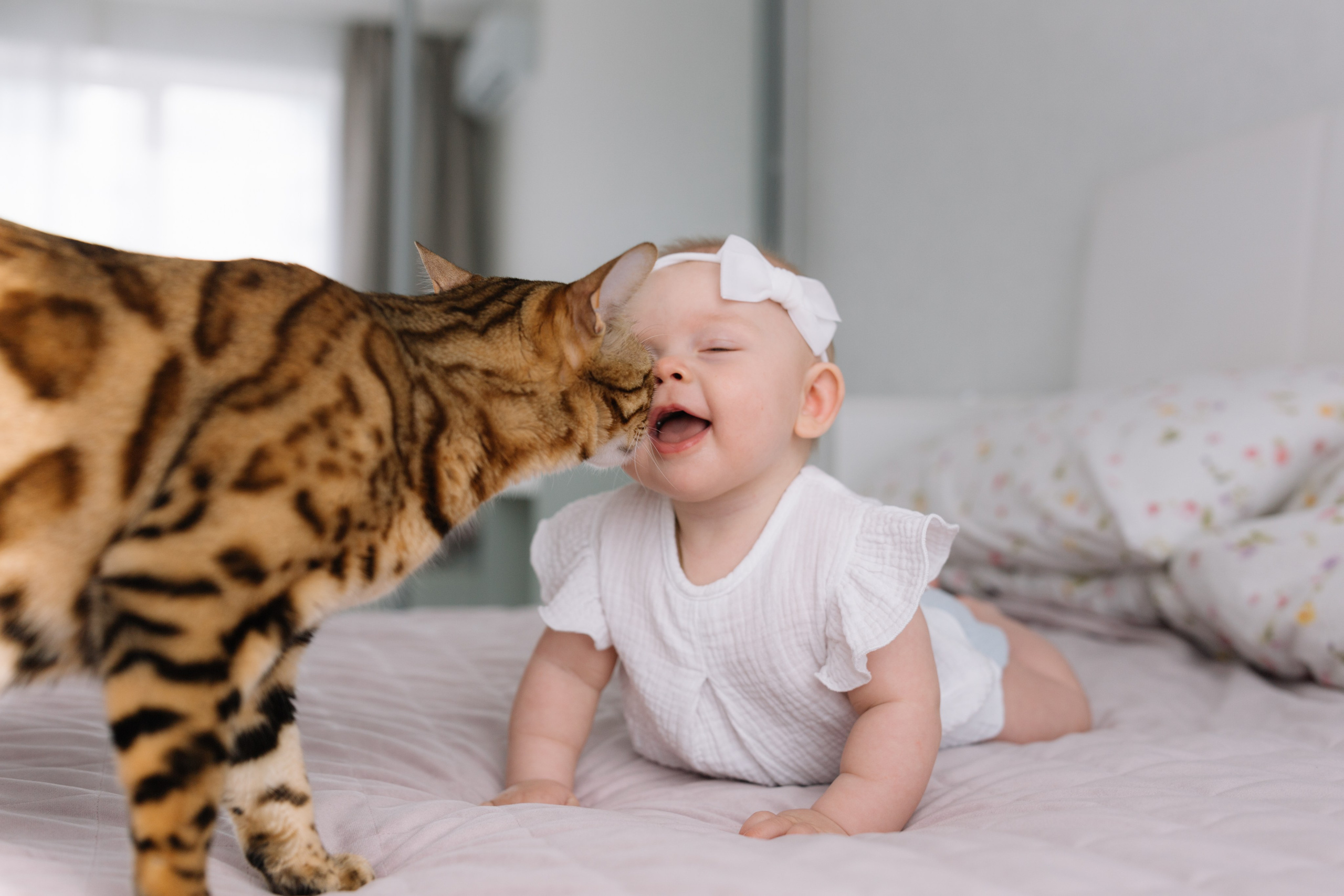 Тима, Мила, Алёша, Алисия домашняя. Семейный фотограф в Волгограде Надежда Головко