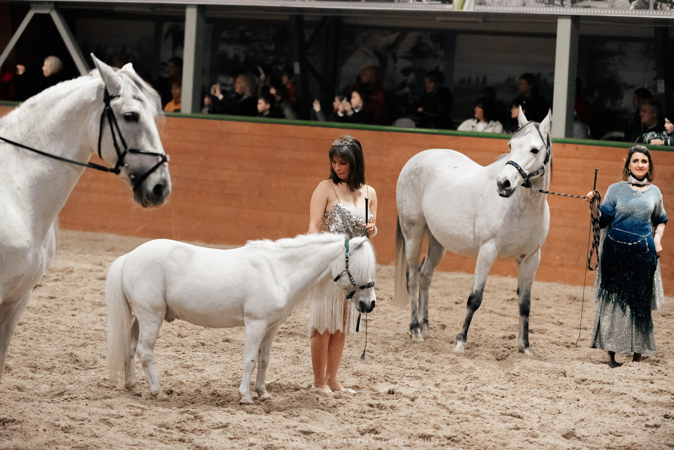 Конное представление «Дыхание Звёзд». Конный фотограф Куракина Дарья • Фотосессии с лошадьми