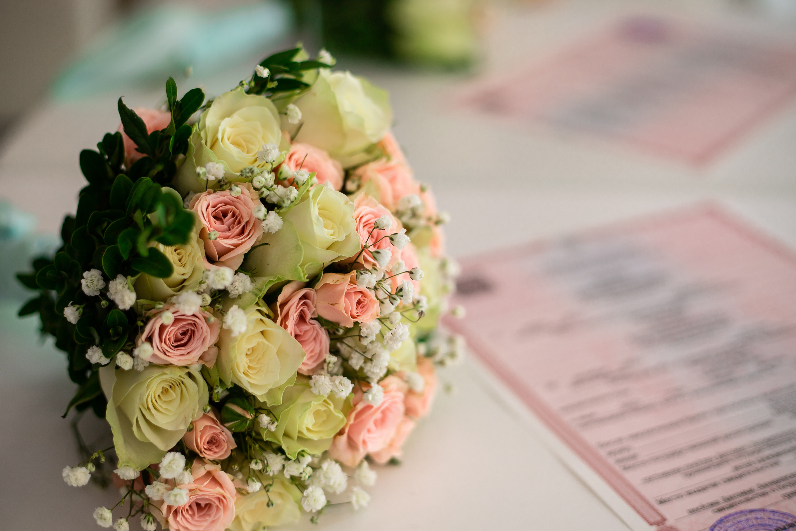 Торжественная роспись А. и К. в Дагомысе. Фотограф Сочи, Адлер, Красная Поляна — Вероника Радченко