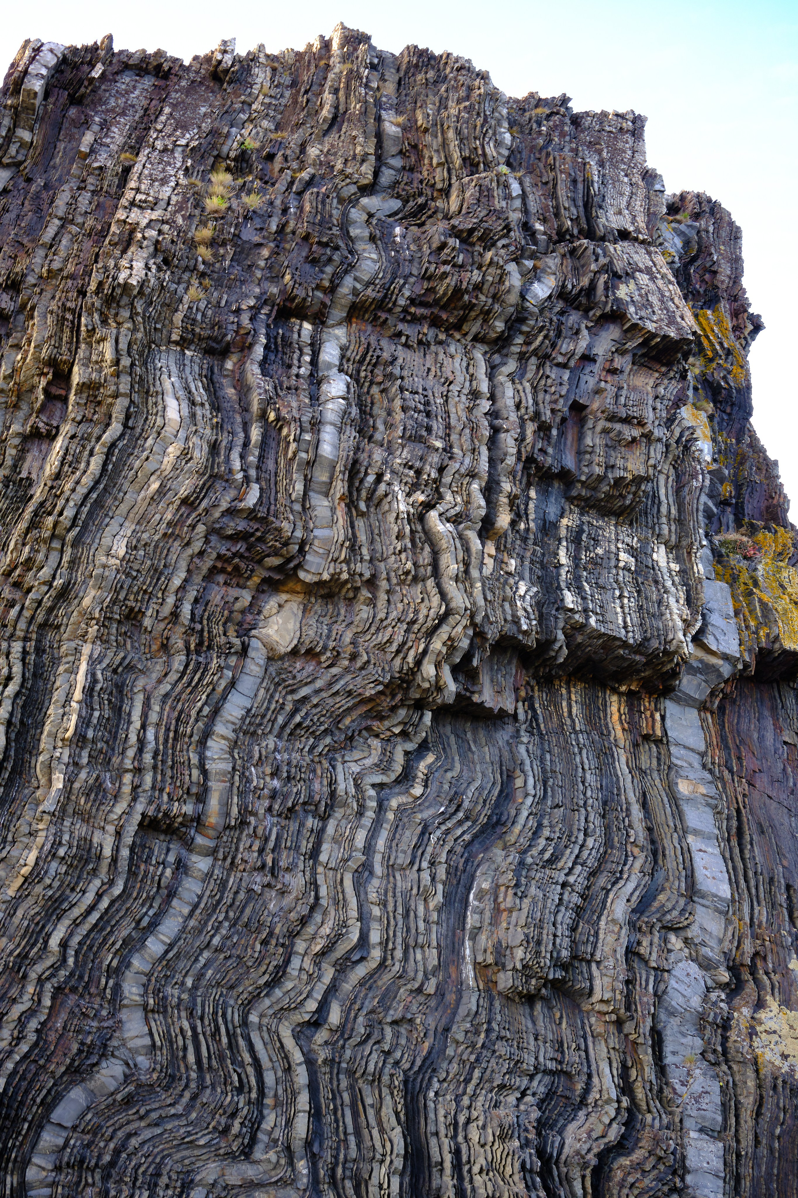 Полуостров Рыбачий. Пейзажи Крайнего Севера. Баренцево море, Рыбачий, Средний, Немецкий