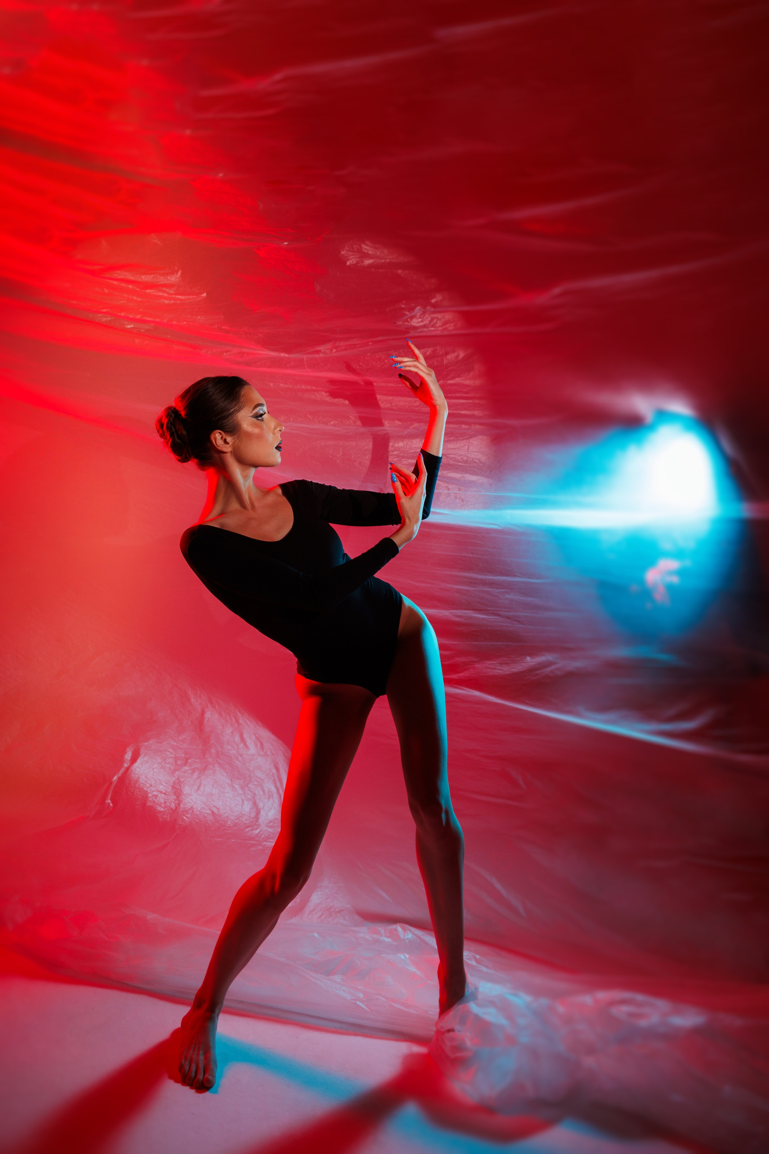 Черный лебедь. Марковкина КрисТина