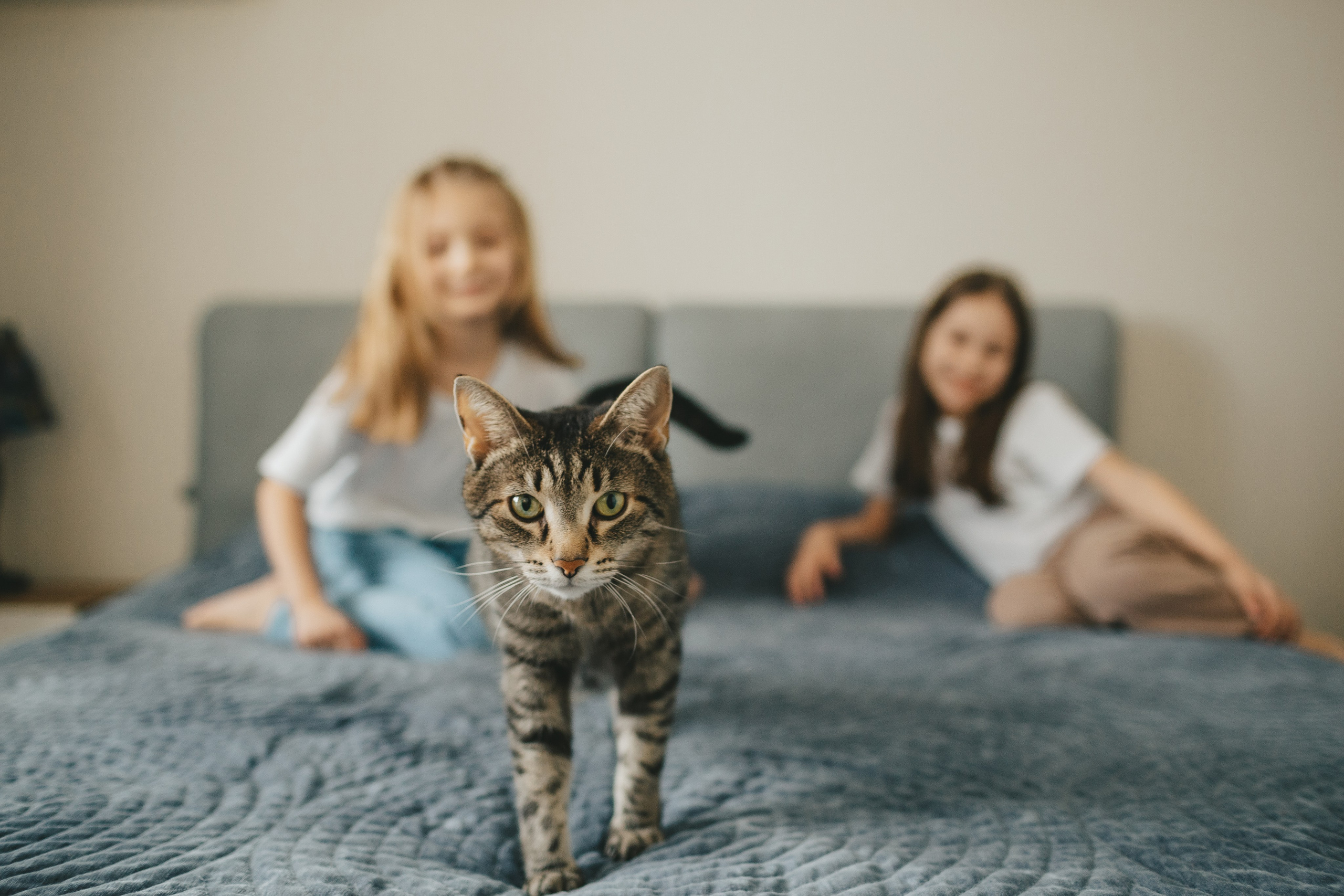 Семья Пети и Алёны (домашняя фотосессия). Семейный и детский фотограф и видеограф в Москве, Дрокина Наталья