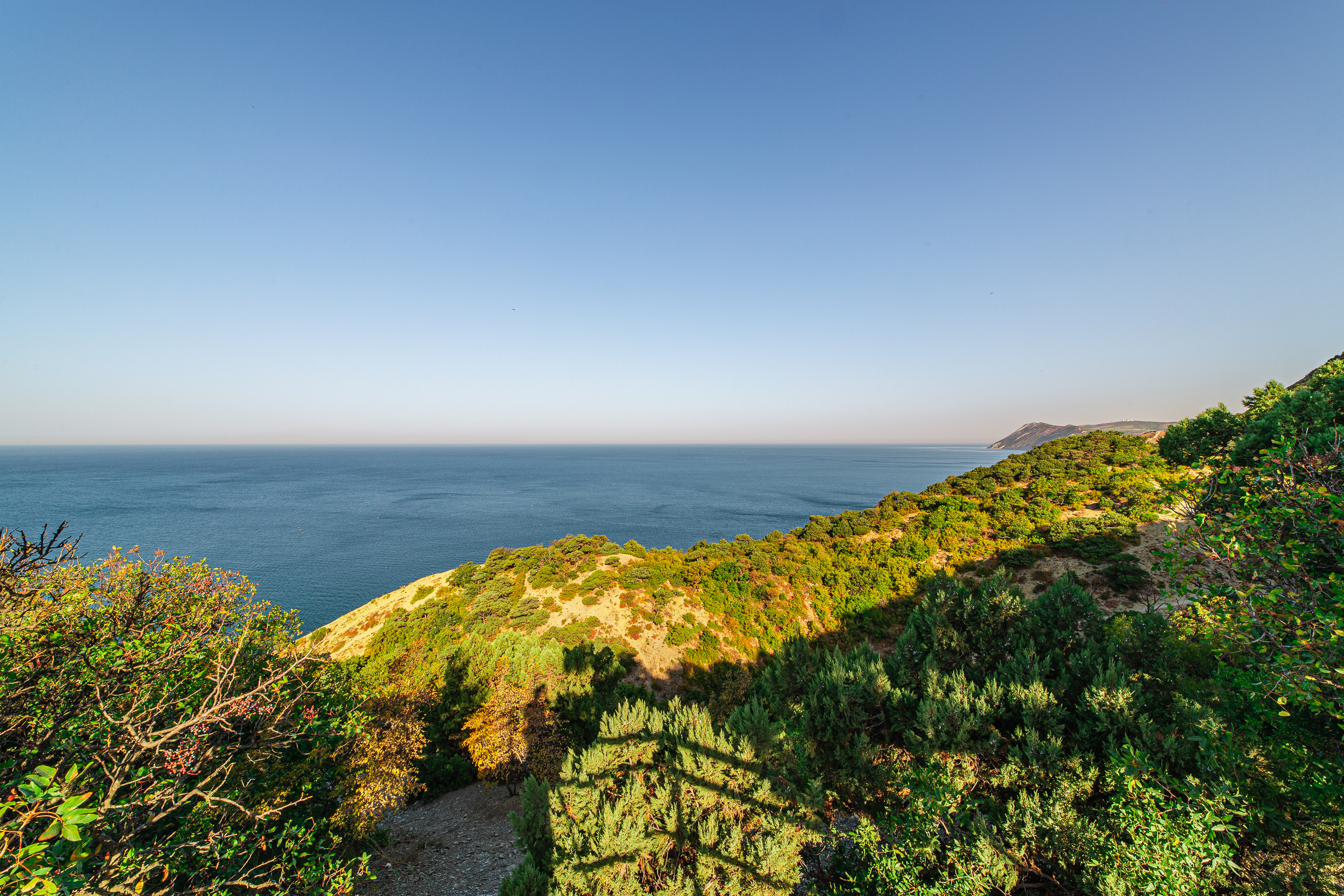 Renatphoto-Фотосъёмка экстерьера и интерьера. Профессиональная фотосъёмка интерьеров, предметная фотосессия еды для меню г. Анапа