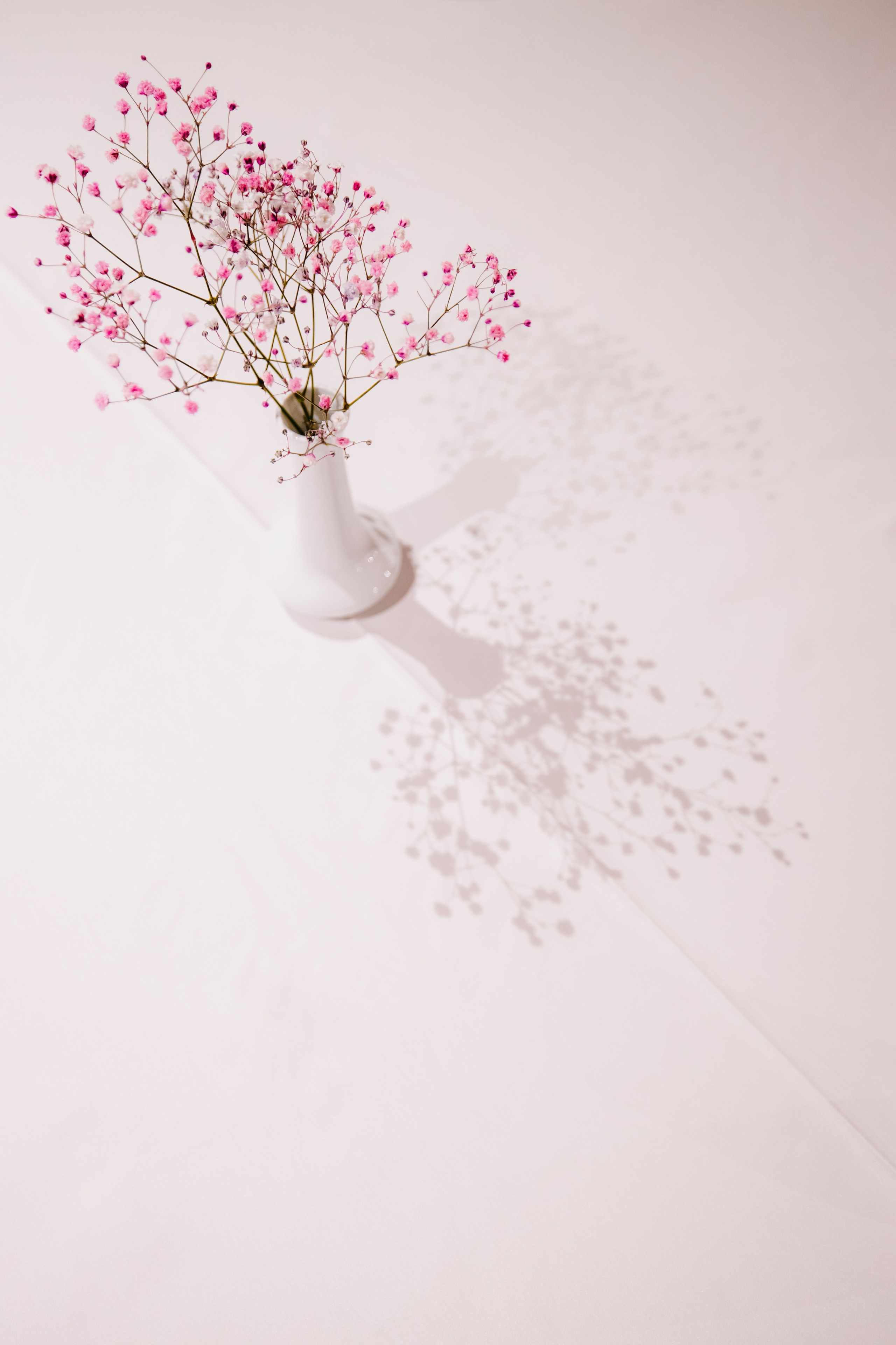 Villa Elena. Дженбаз Павел — фотограф в Ялте