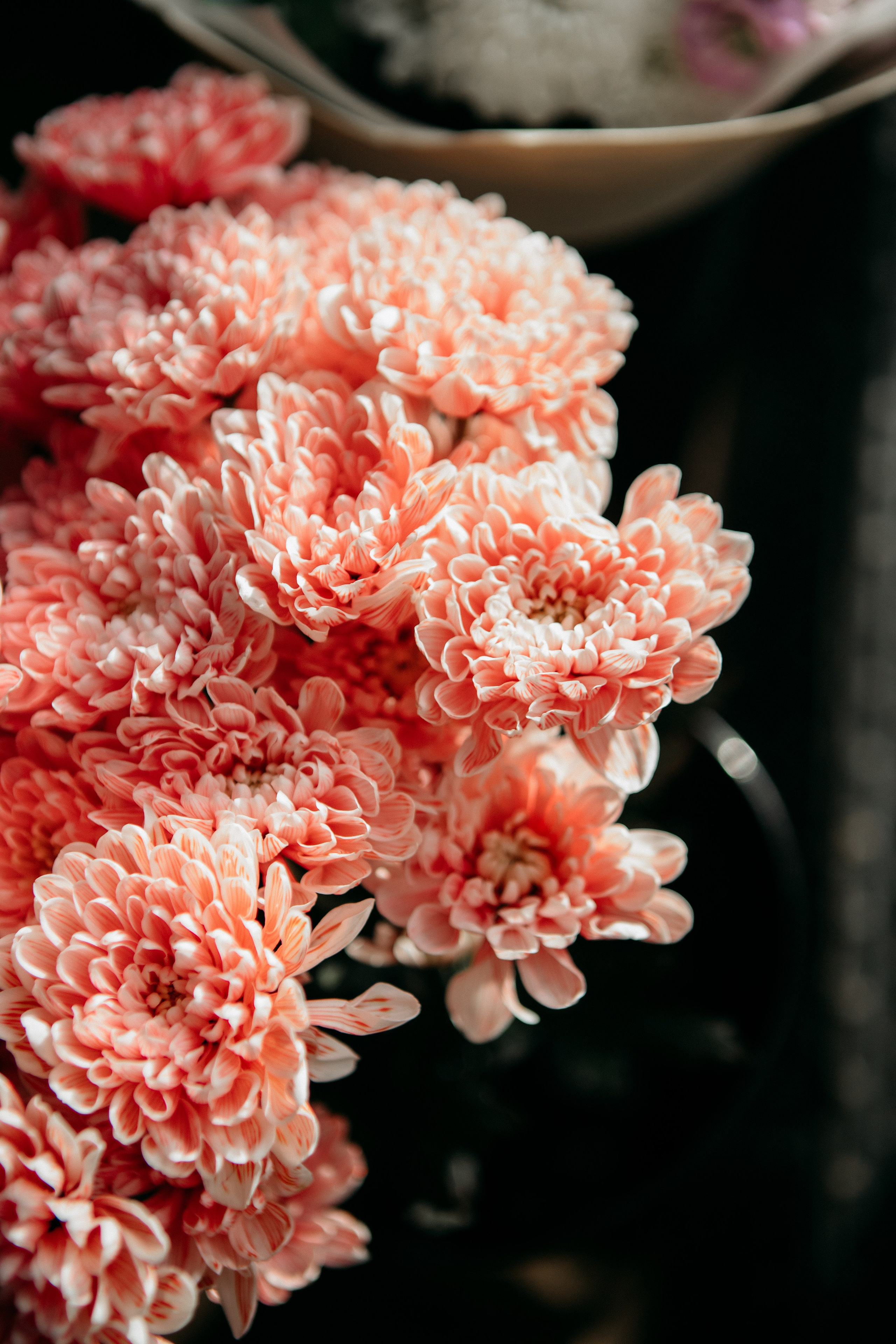 Евгений & Мария. Главная