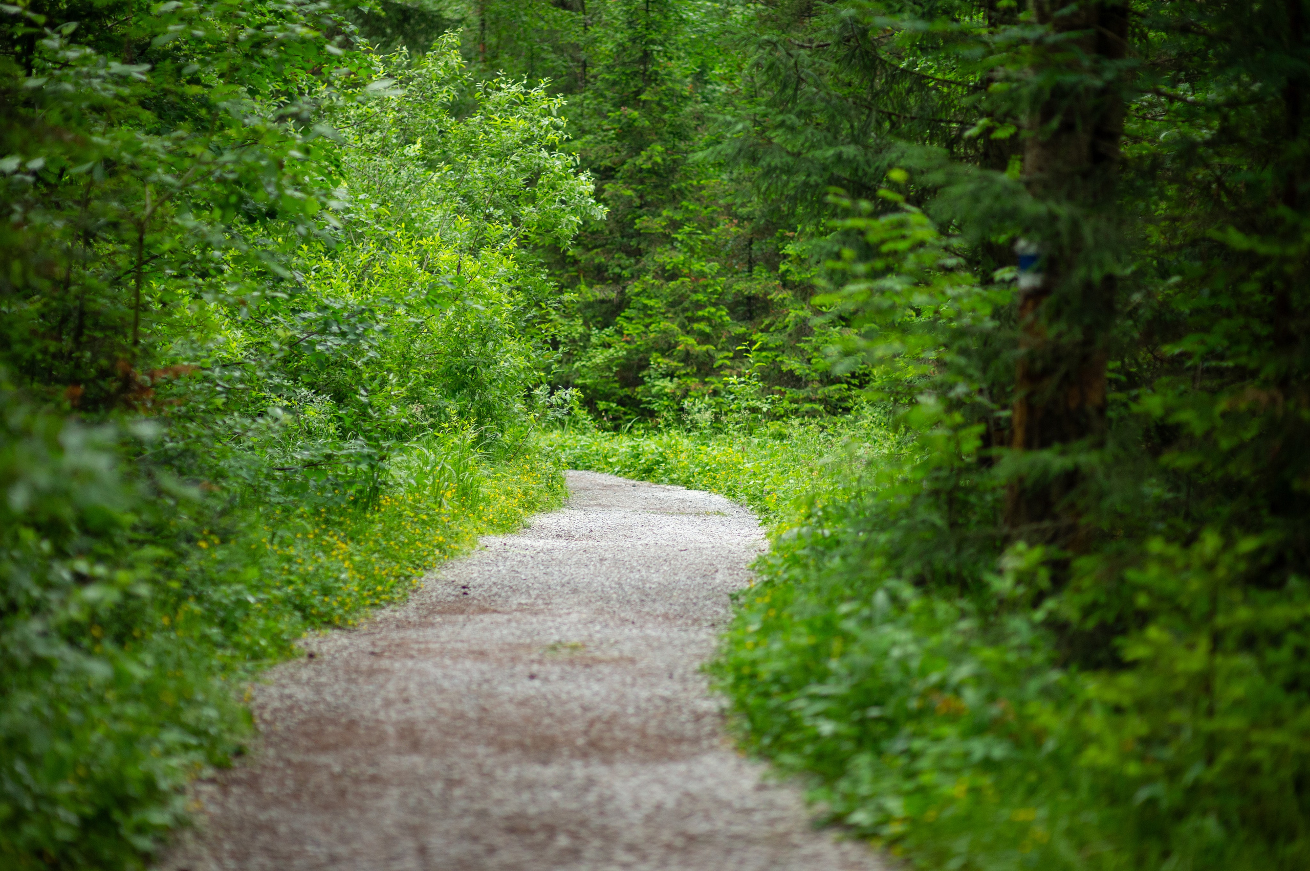 Национальный парк Таганай. Фотограф Шариков Илья