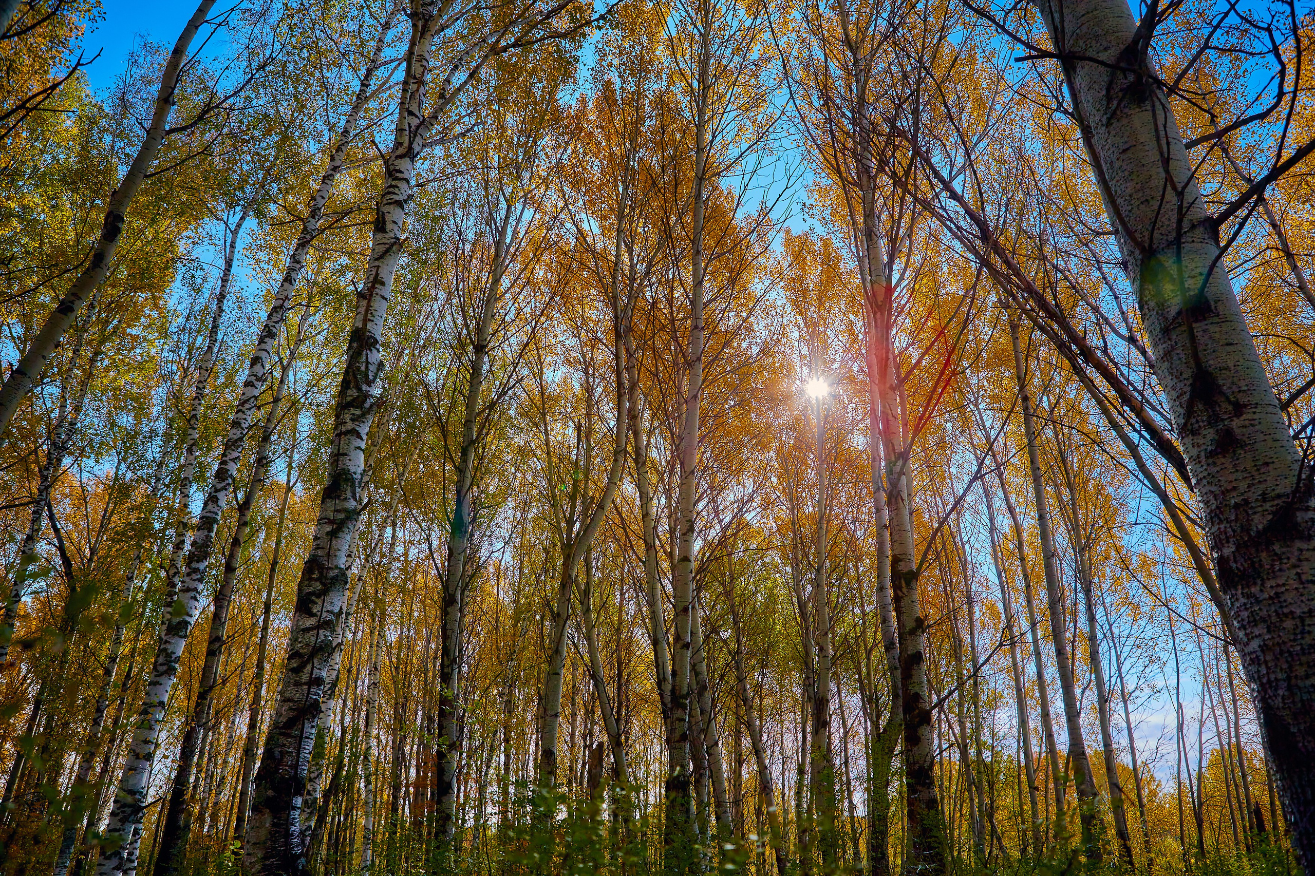 Съемка в полете. DMITRY MOISEENKO — фотограф, художник, топ-стилист