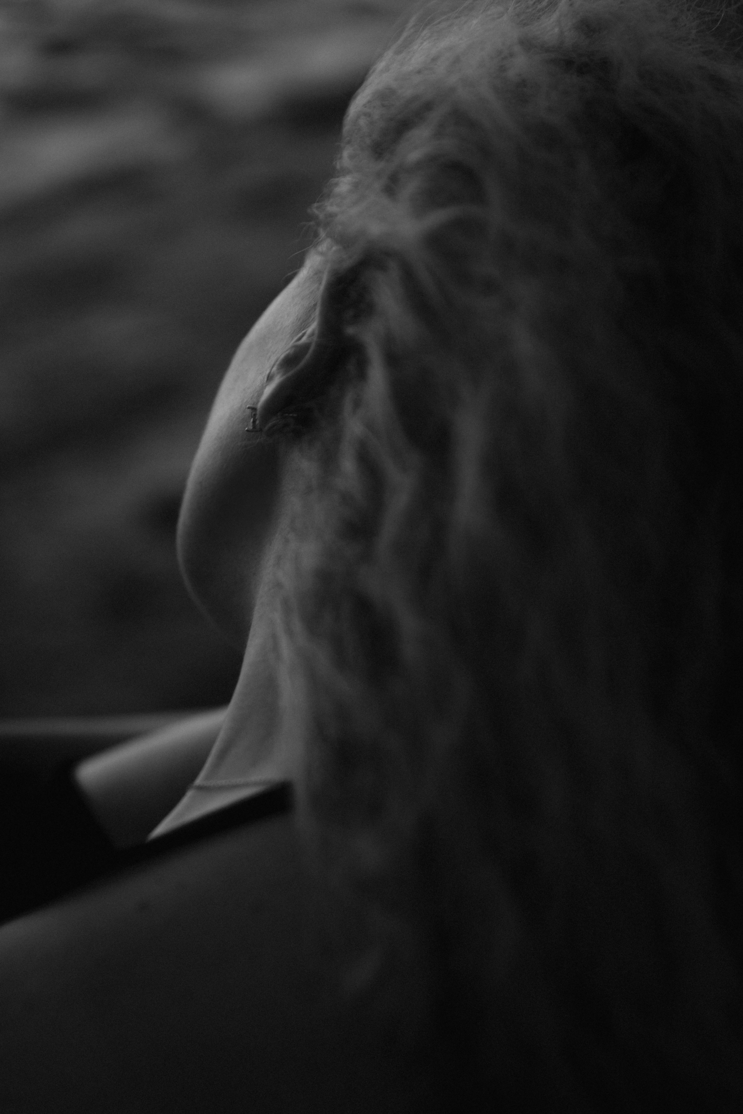 Женя. Прогулка. Фотограф Сергеева Анна