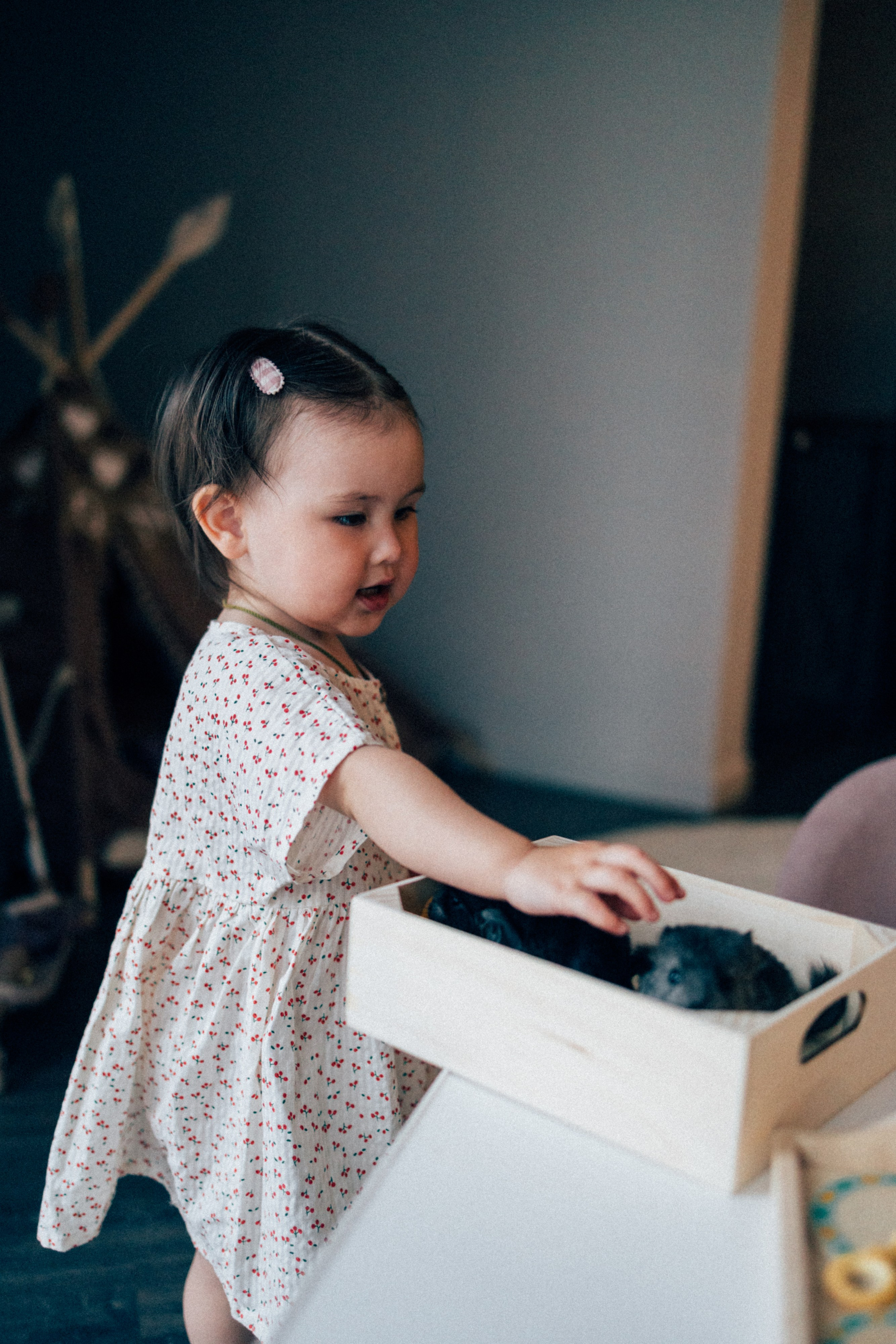 Lifstyle Фролкины. Семейный, женский и детский фотограф Татьяна Колобаева