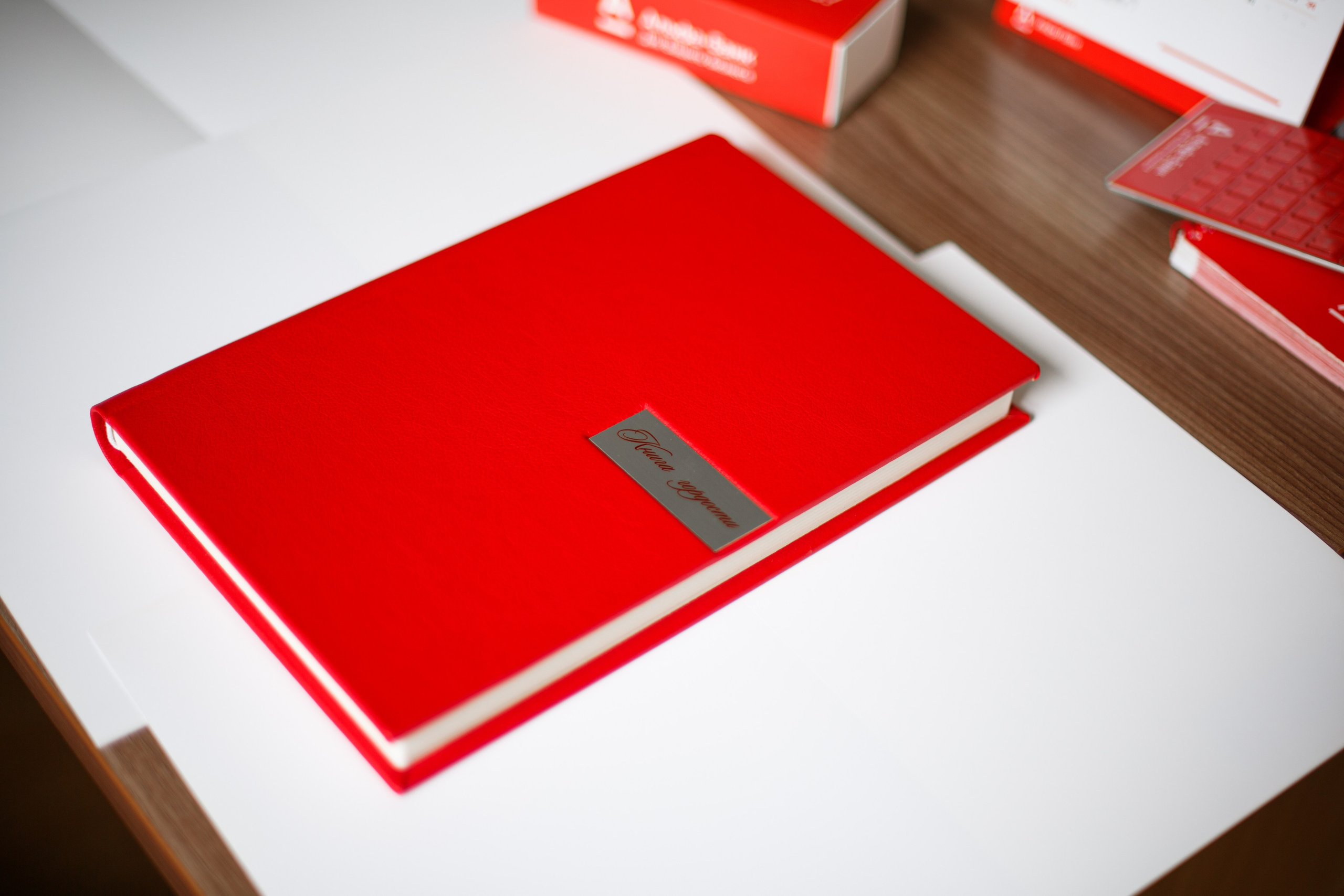 Книга Гордости. Портретный фотограф Санкт-Петербург Москва Андронова Юлия