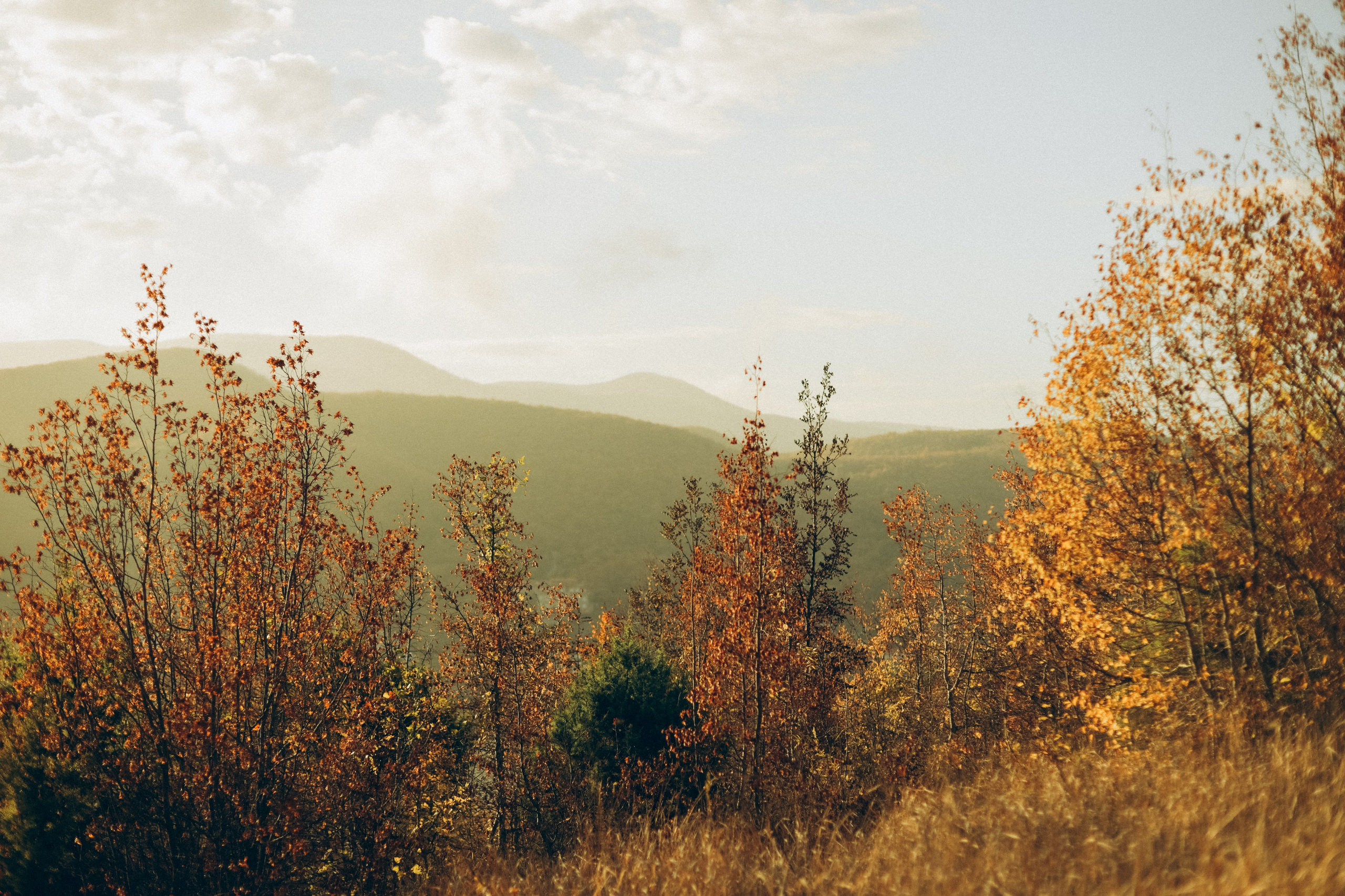 Инга, Андрей, Василиса и Леня. Семейный фотограф Анапа