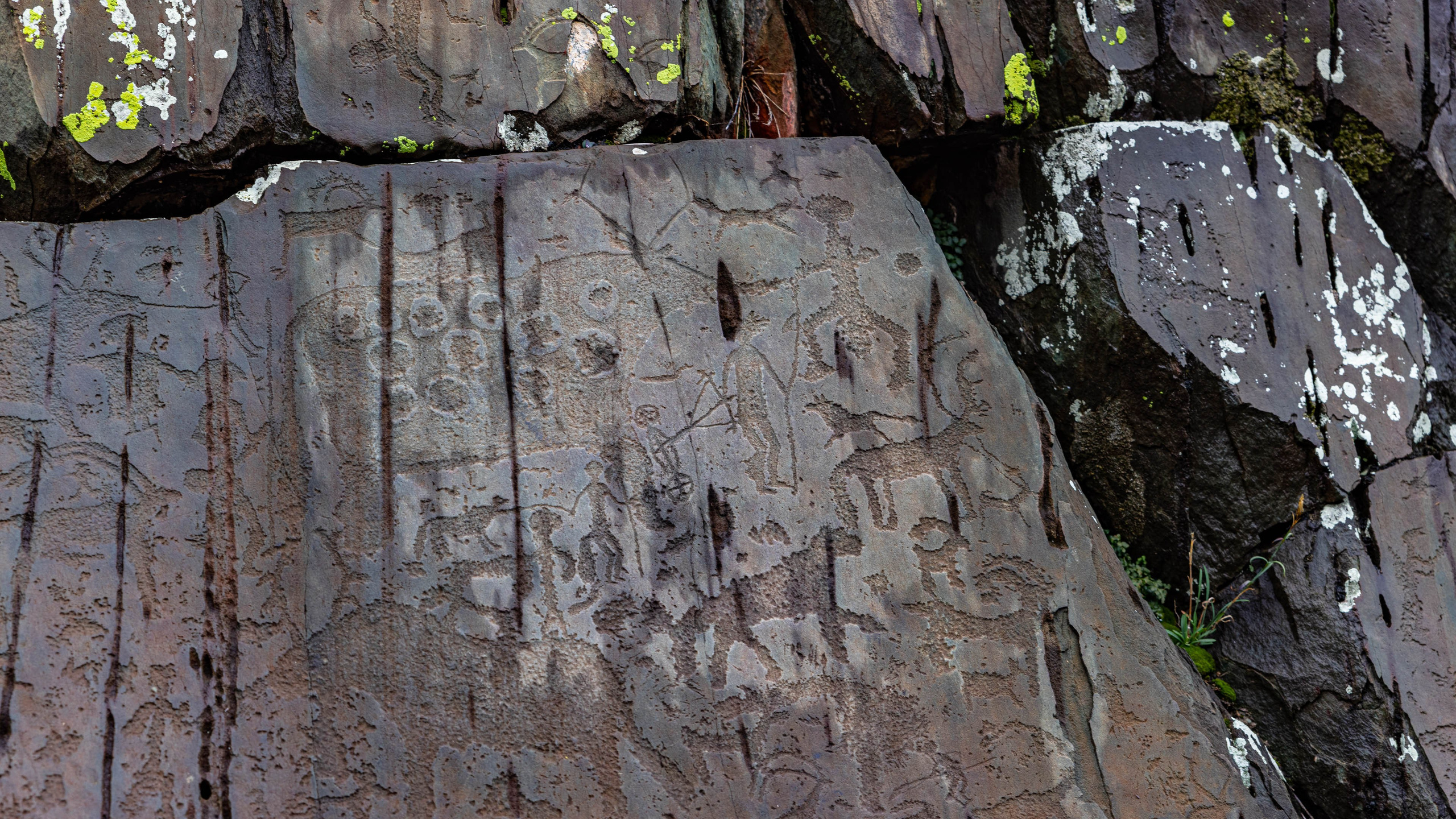 2025 09 Алтай. Чуйский тракт. Фотографии