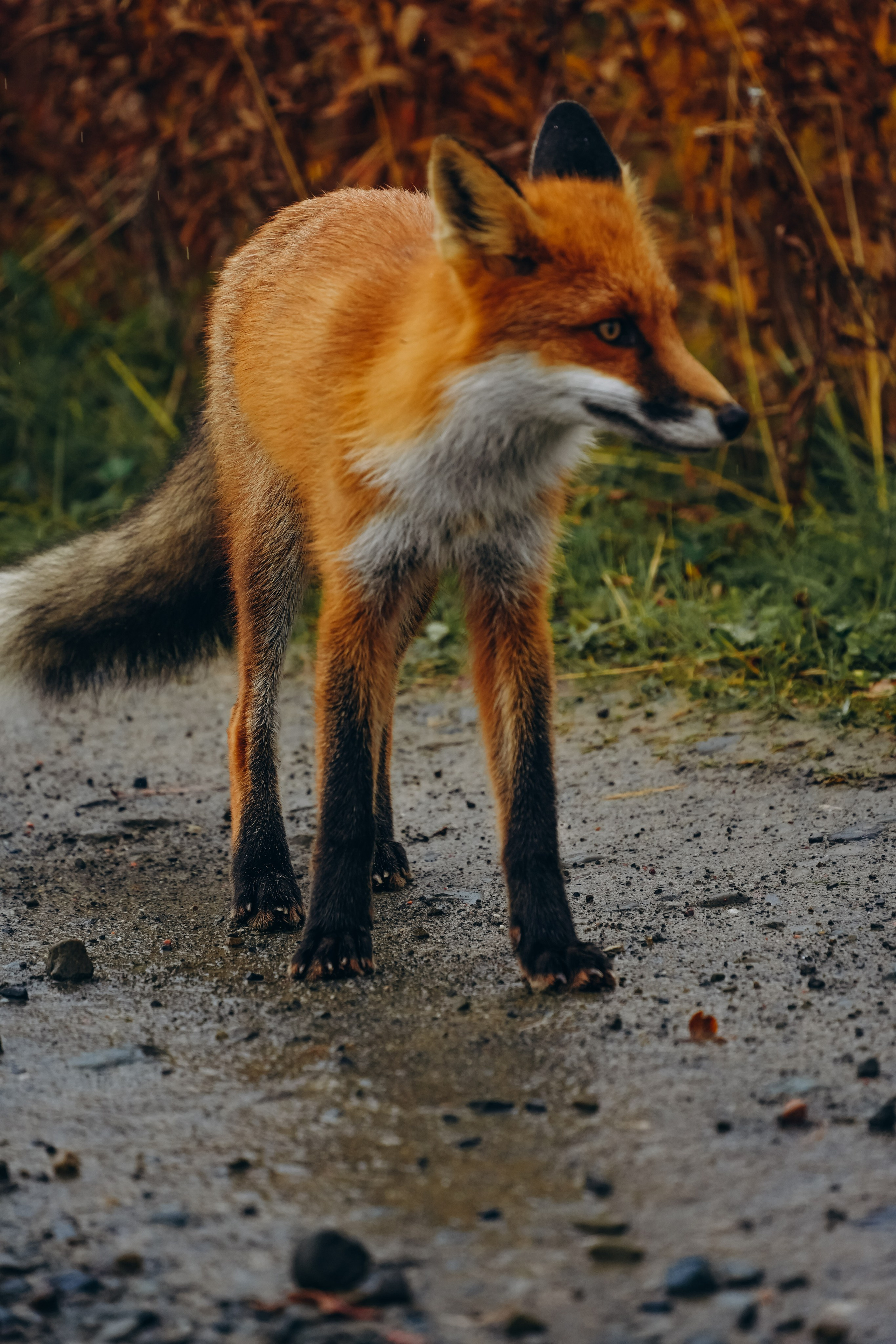 СЕВЕР. Event фотограф Степанова Александра