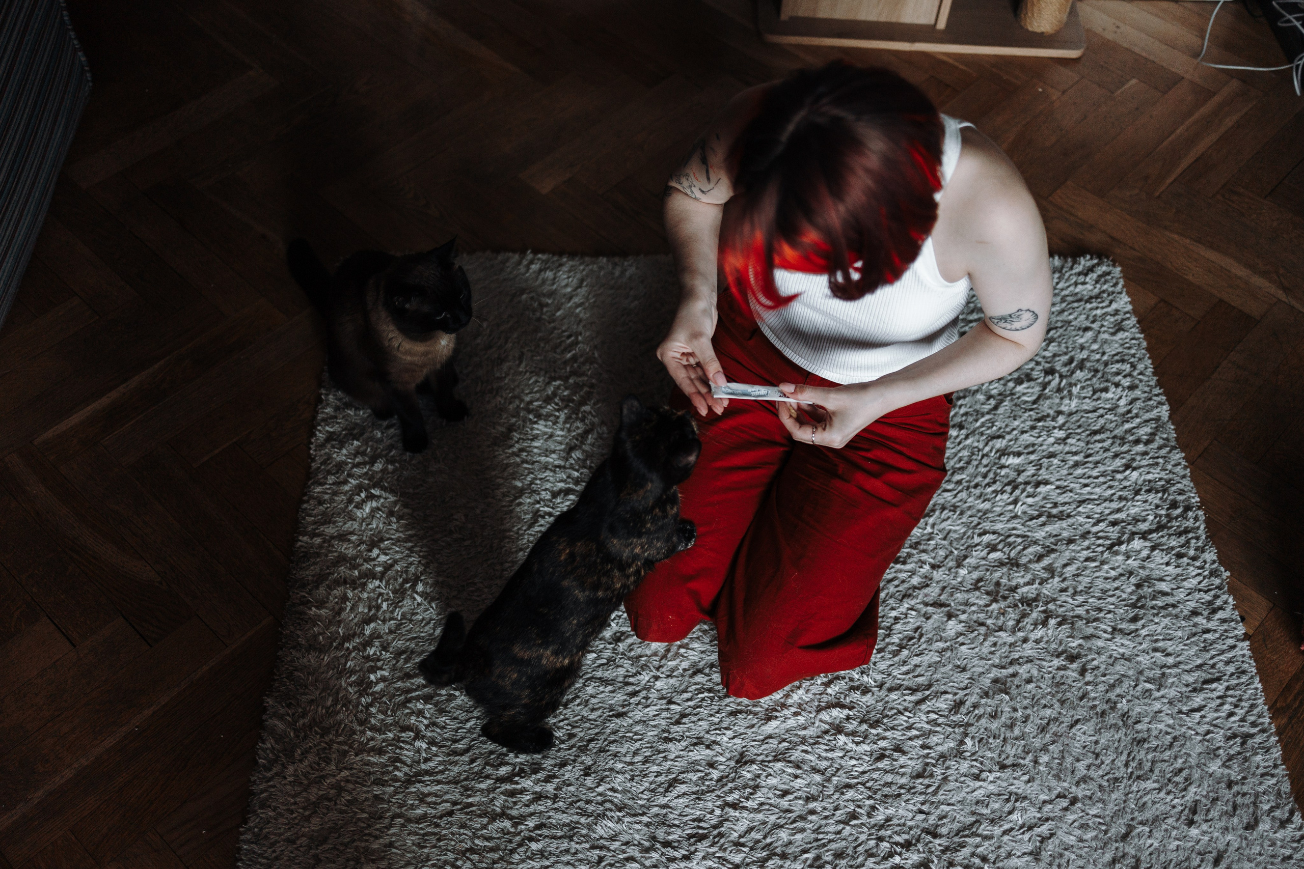 Саша и ее хвосты. Фотограф — Анималист | Санкт-Петербург