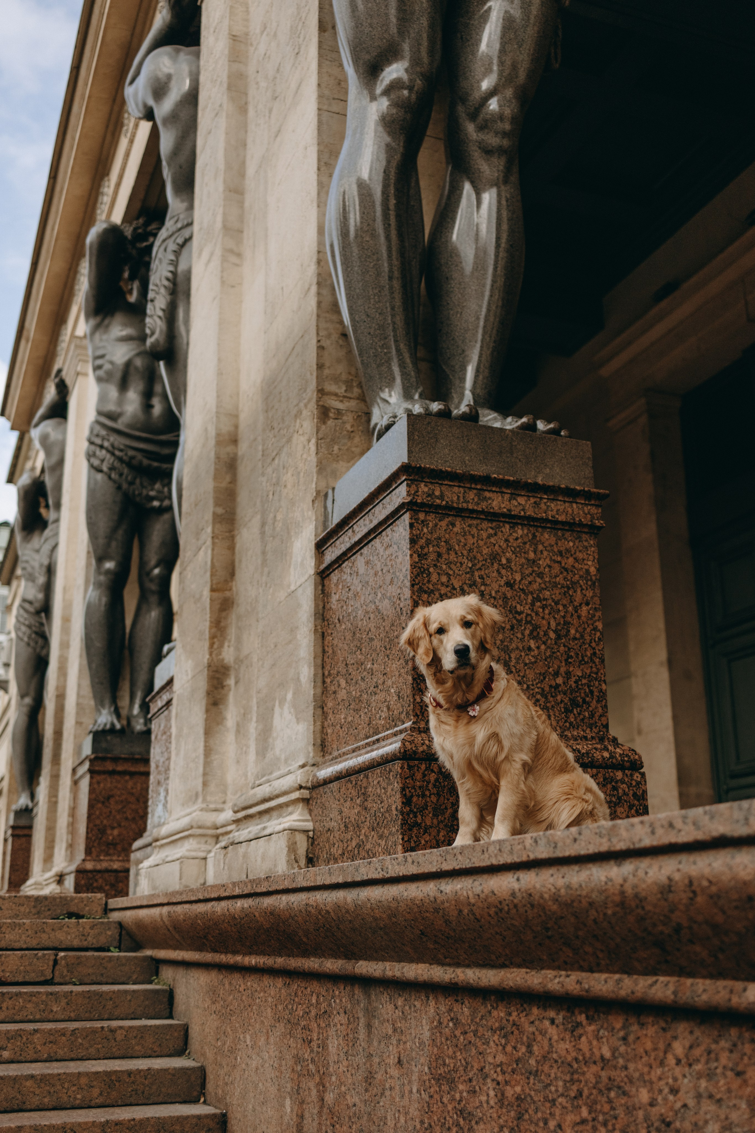 Бетти и ее семья. Фотограф — Анималист | Санкт-Петербург