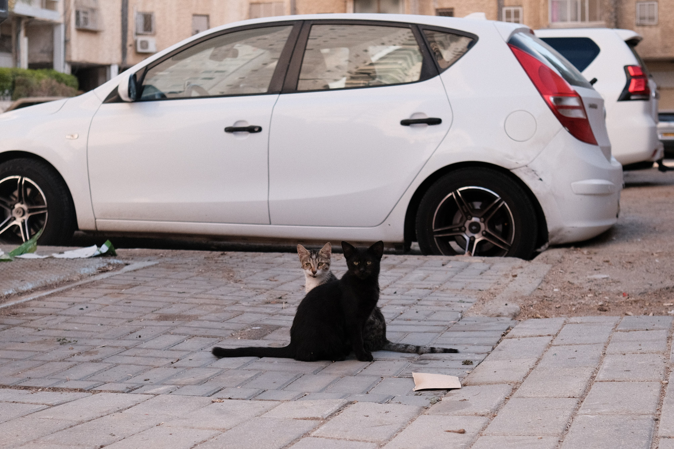 Фотографии Беер-Шевы | Филипп Линзин. Репортажный и портретный фотограф в Санкт-Петербурге Филипп Линзин