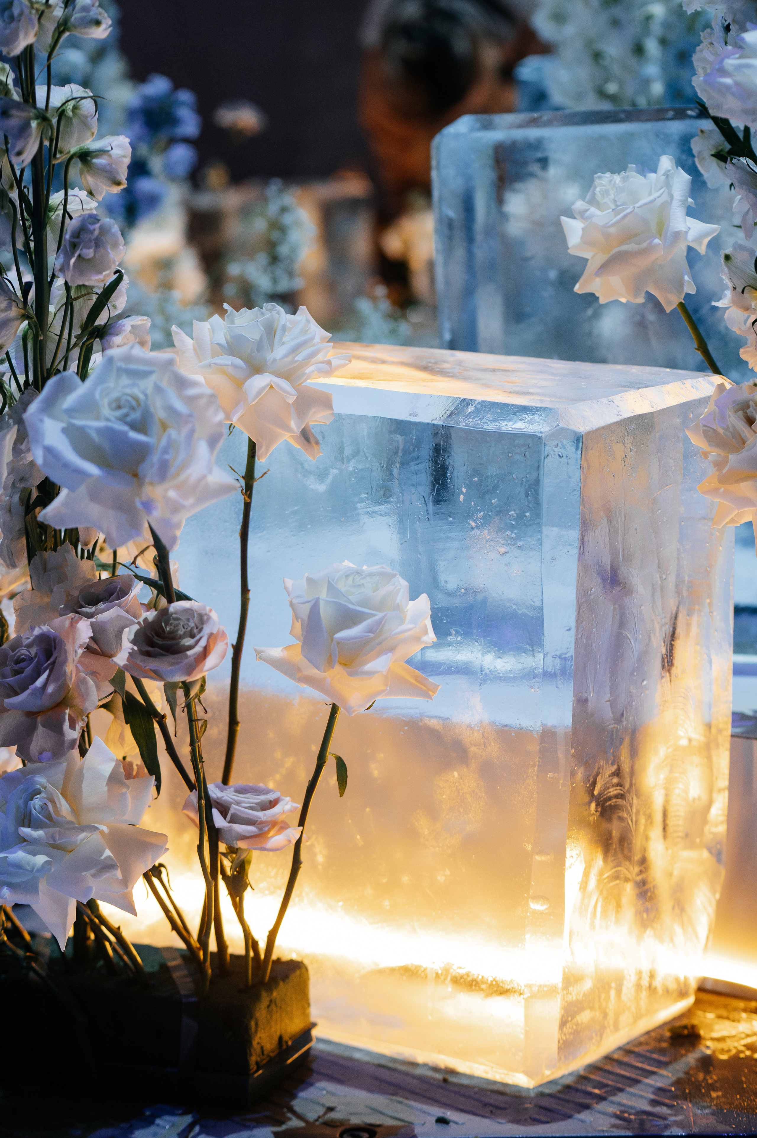 Предложение. Песнь льда и пламени. Свадебный фотограф в Москве и по всему Миру Андрей Медведников