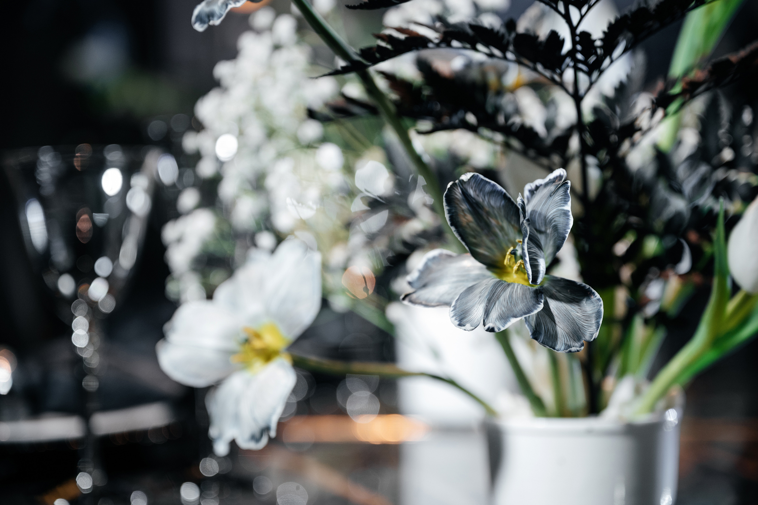 День Рождения Дмитрия. Wedding photographer in Moscow and around the world Andrey Medvednikov