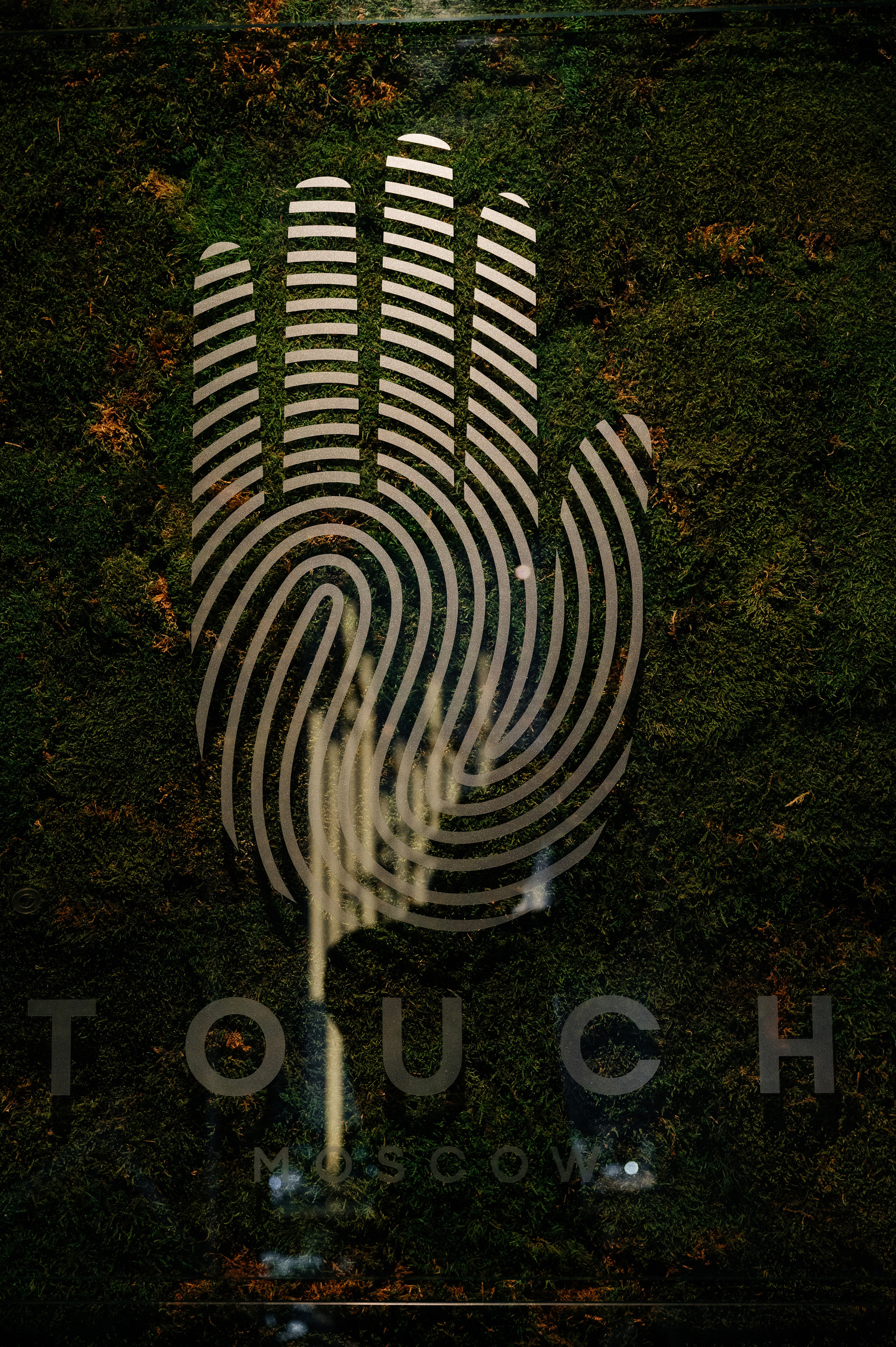 День Рождения Дмитрия. Wedding photographer in Moscow and around the world Andrey Medvednikov