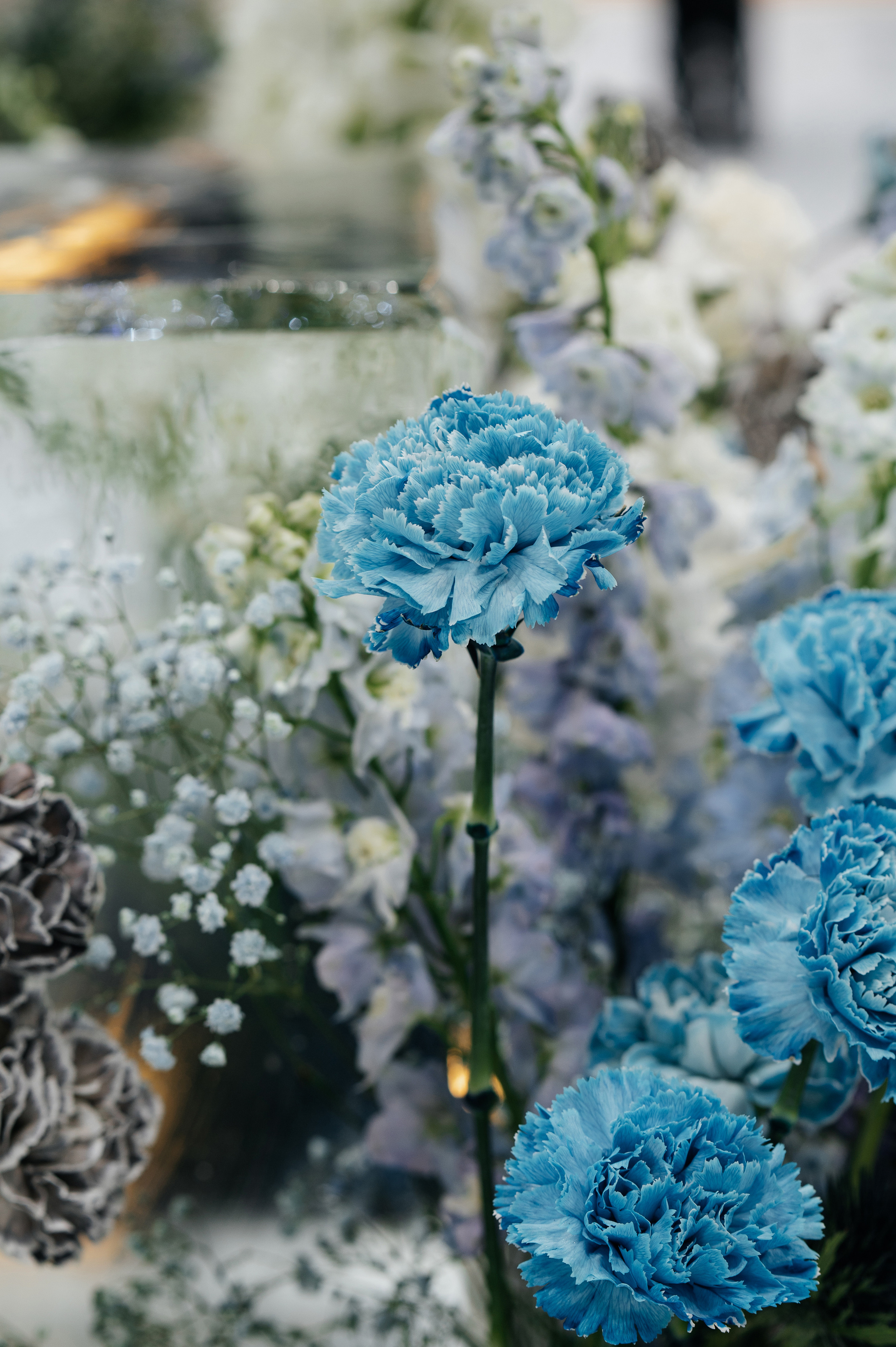 Предложение. Песнь льда и пламени. Свадебный фотограф в Москве и по всему Миру Андрей Медведников