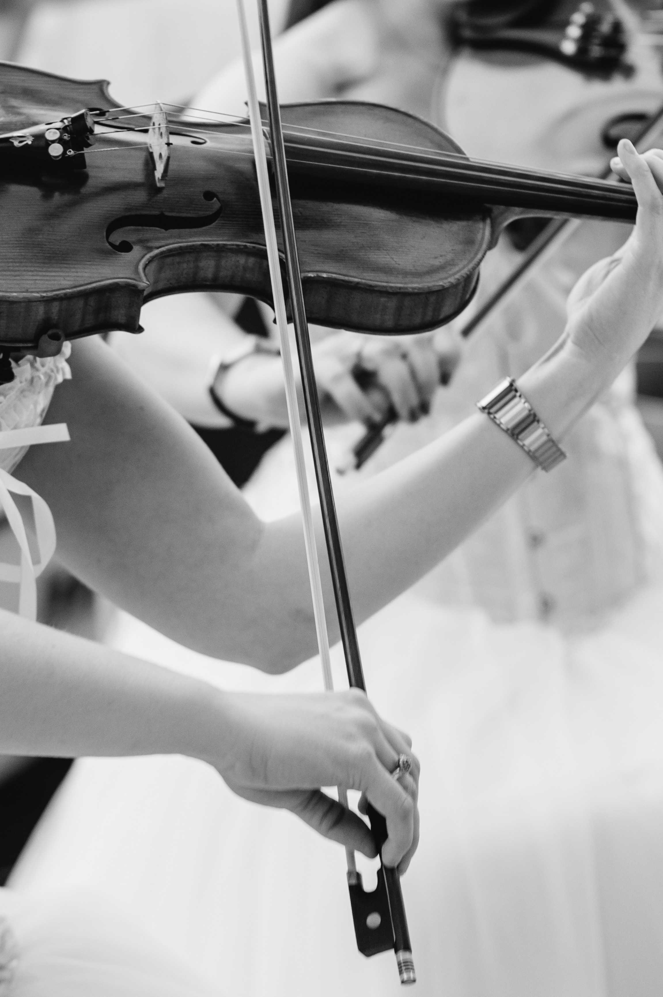 Санкт-Петербург, Встреча свадебных организаторов в ресторане Bellevue. Свадебный фотограф в Москве и по всему Миру Андрей Медведников