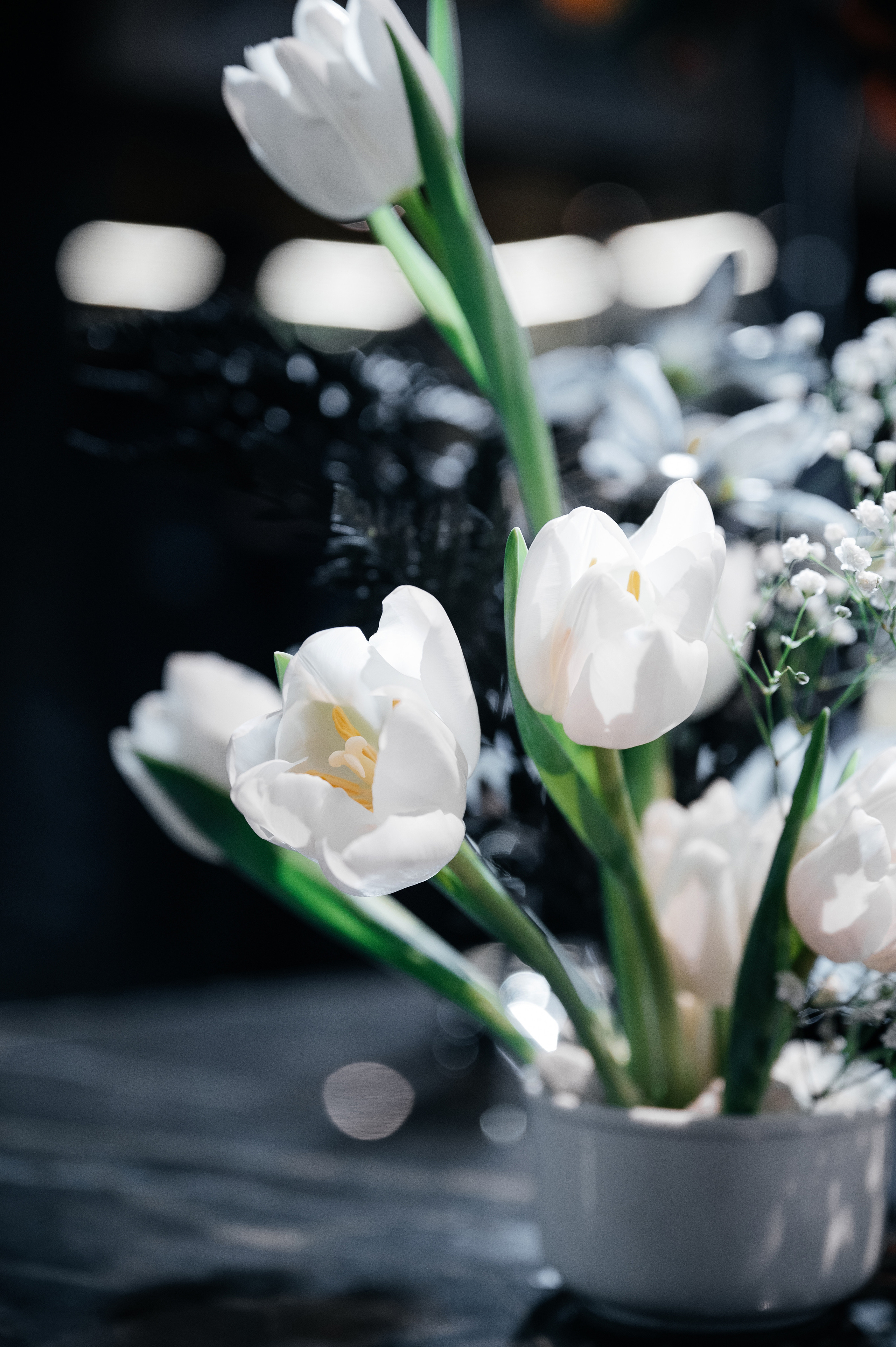 День Рождения Дмитрия. Wedding photographer in Moscow and around the world Andrey Medvednikov