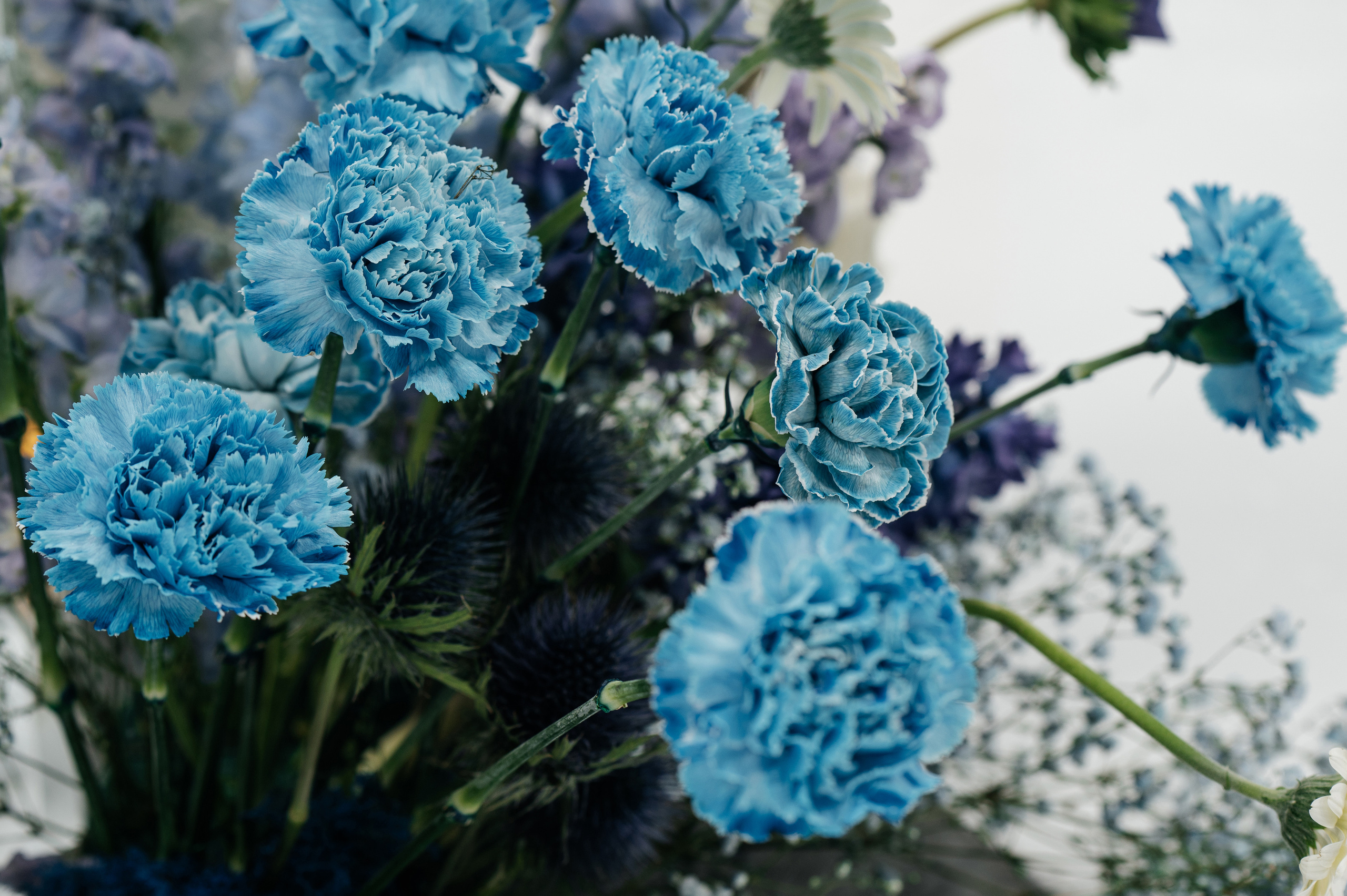 Предложение. Песнь льда и пламени. Свадебный фотограф в Москве и по всему Миру Андрей Медведников
