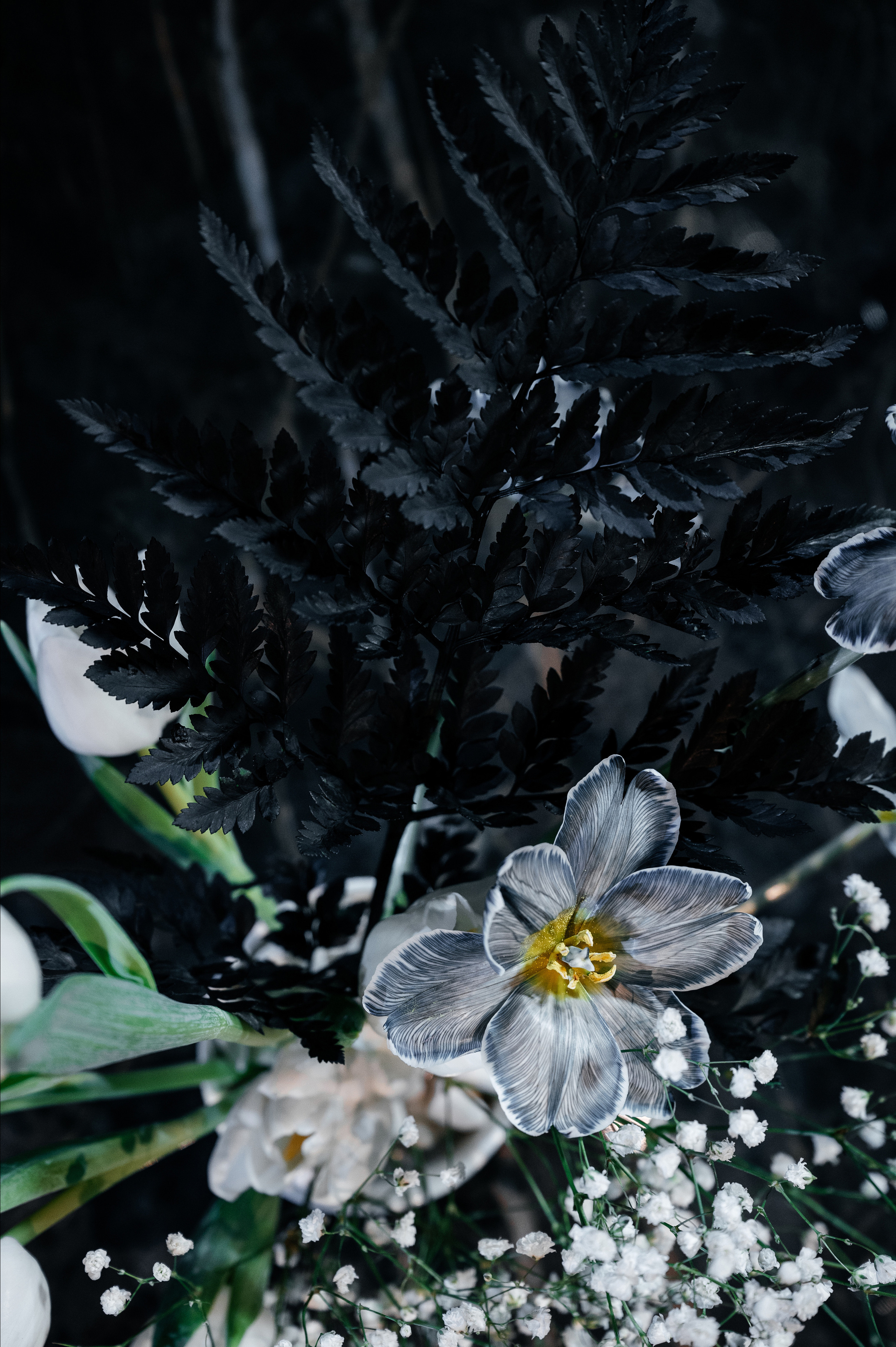 День Рождения Дмитрия. Wedding photographer in Moscow and around the world Andrey Medvednikov