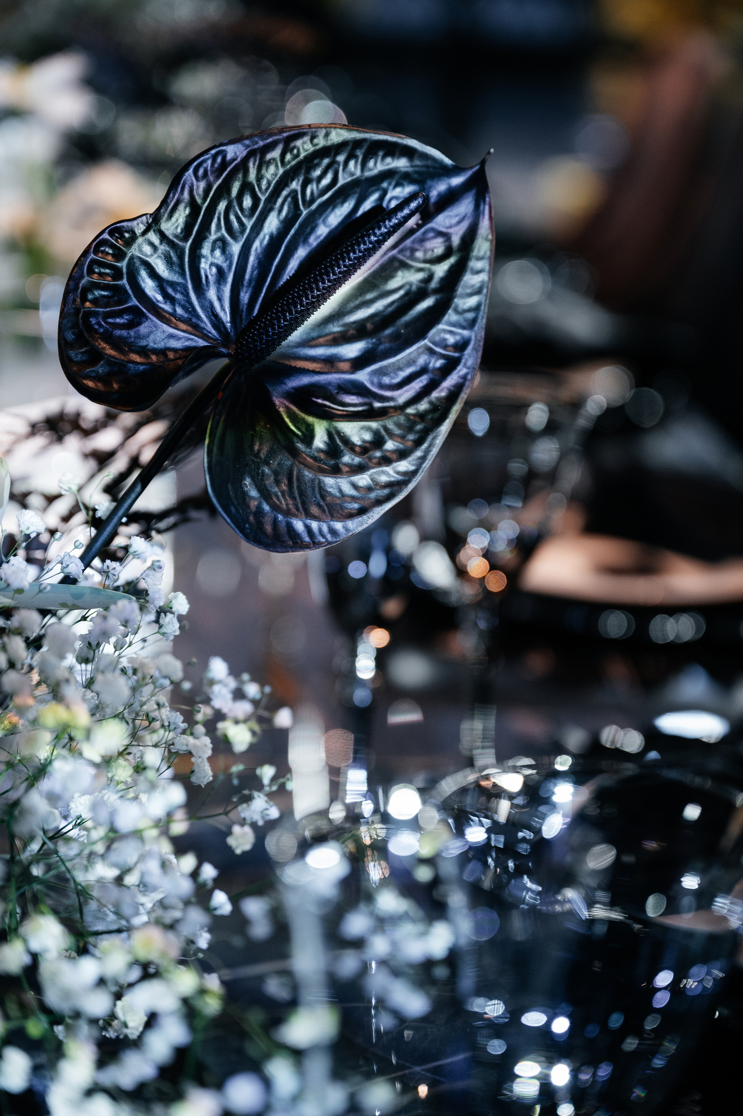 День Рождения Дмитрия. Wedding photographer in Moscow and around the world Andrey Medvednikov