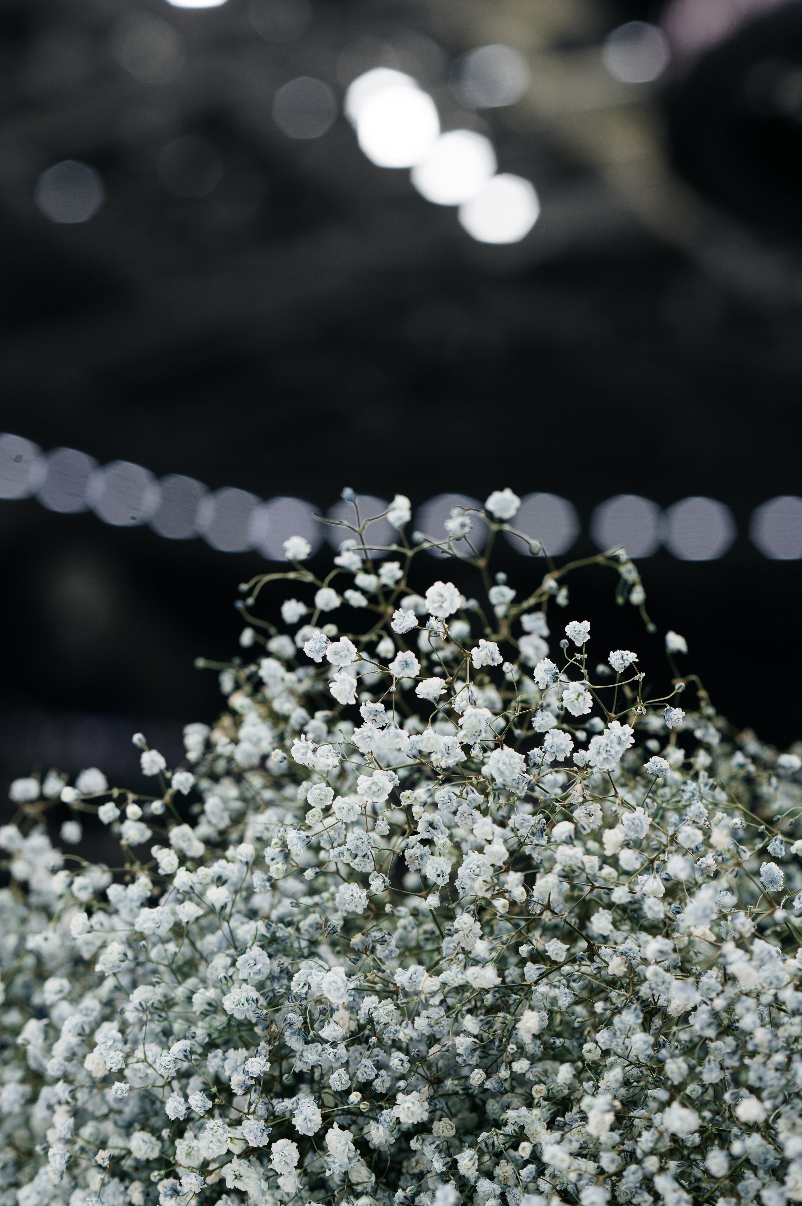 Предложение. Песнь льда и пламени. Свадебный фотограф в Москве и по всему Миру Андрей Медведников