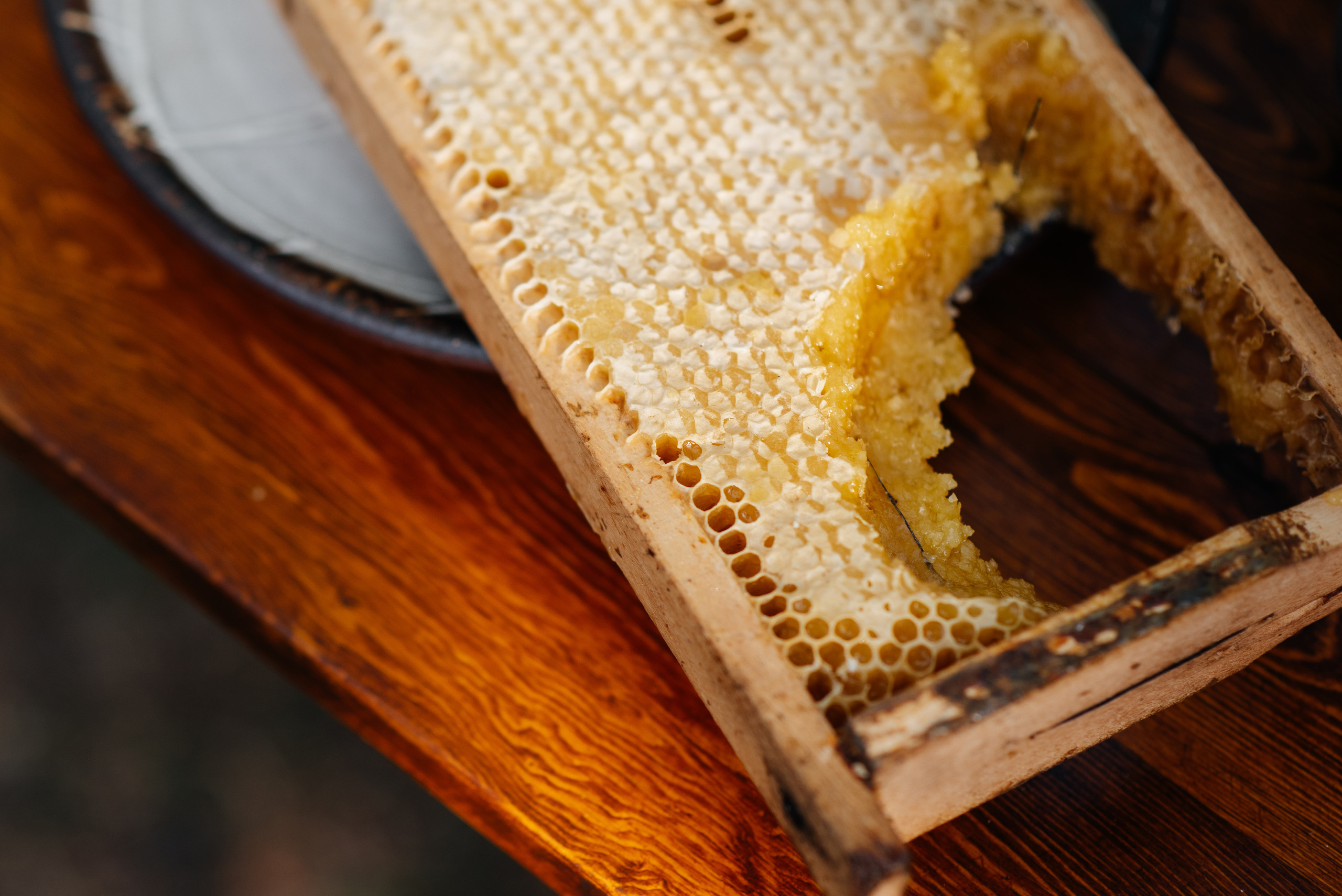 Светский ужин. Wedding photographer in Moscow and around the world Andrey Medvednikov