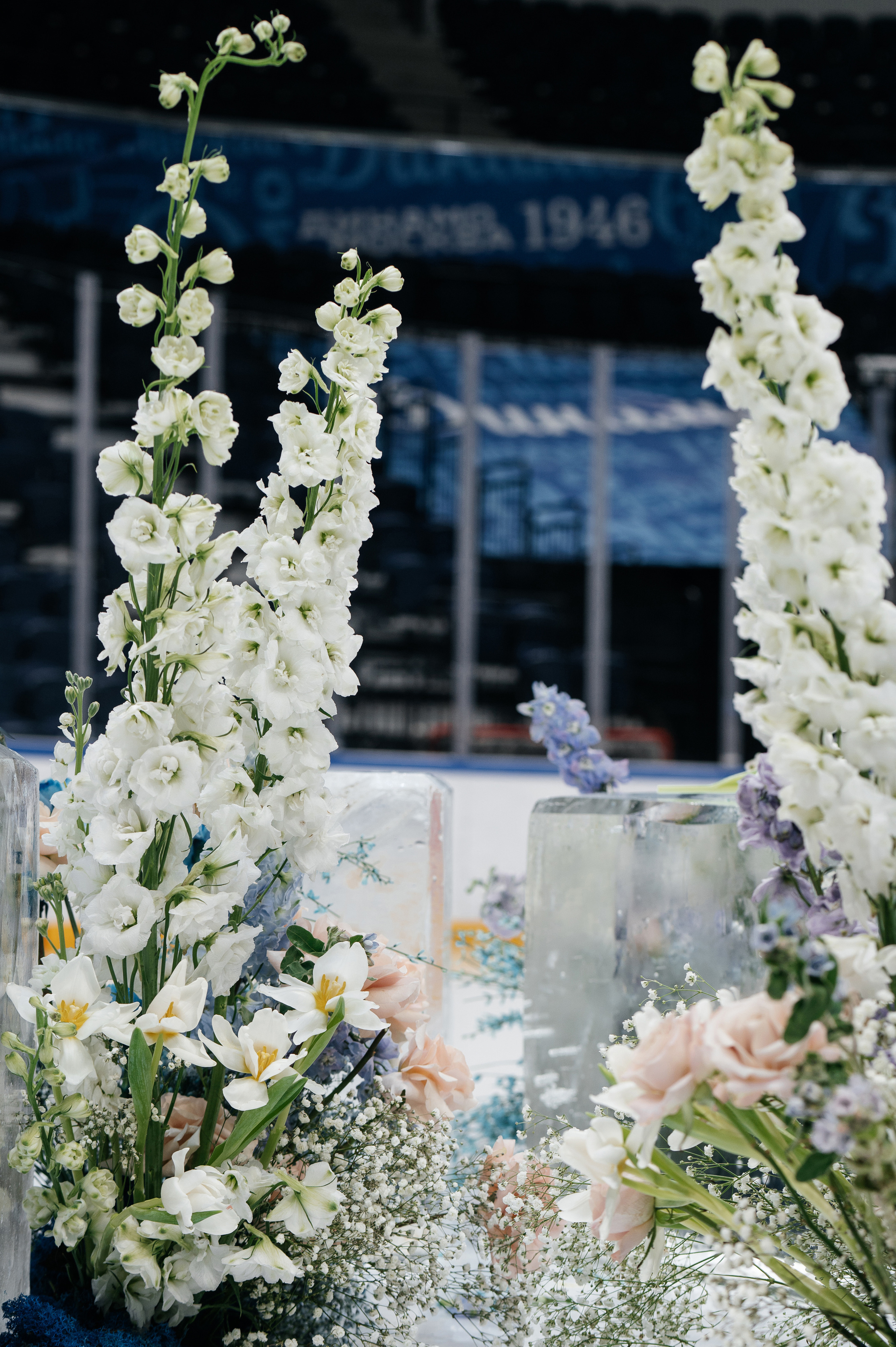 Предложение. Песнь льда и пламени. Свадебный фотограф в Москве и по всему Миру Андрей Медведников