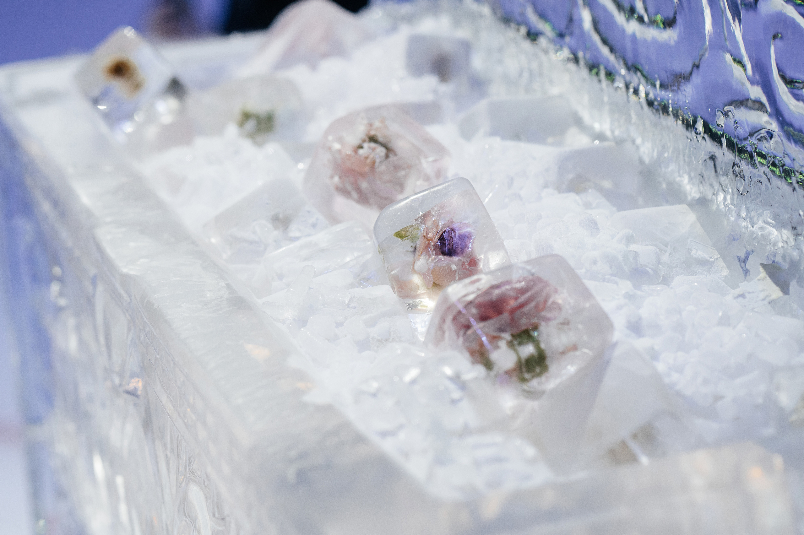 Предложение. Песнь льда и пламени. Свадебный фотограф в Москве и по всему Миру Андрей Медведников