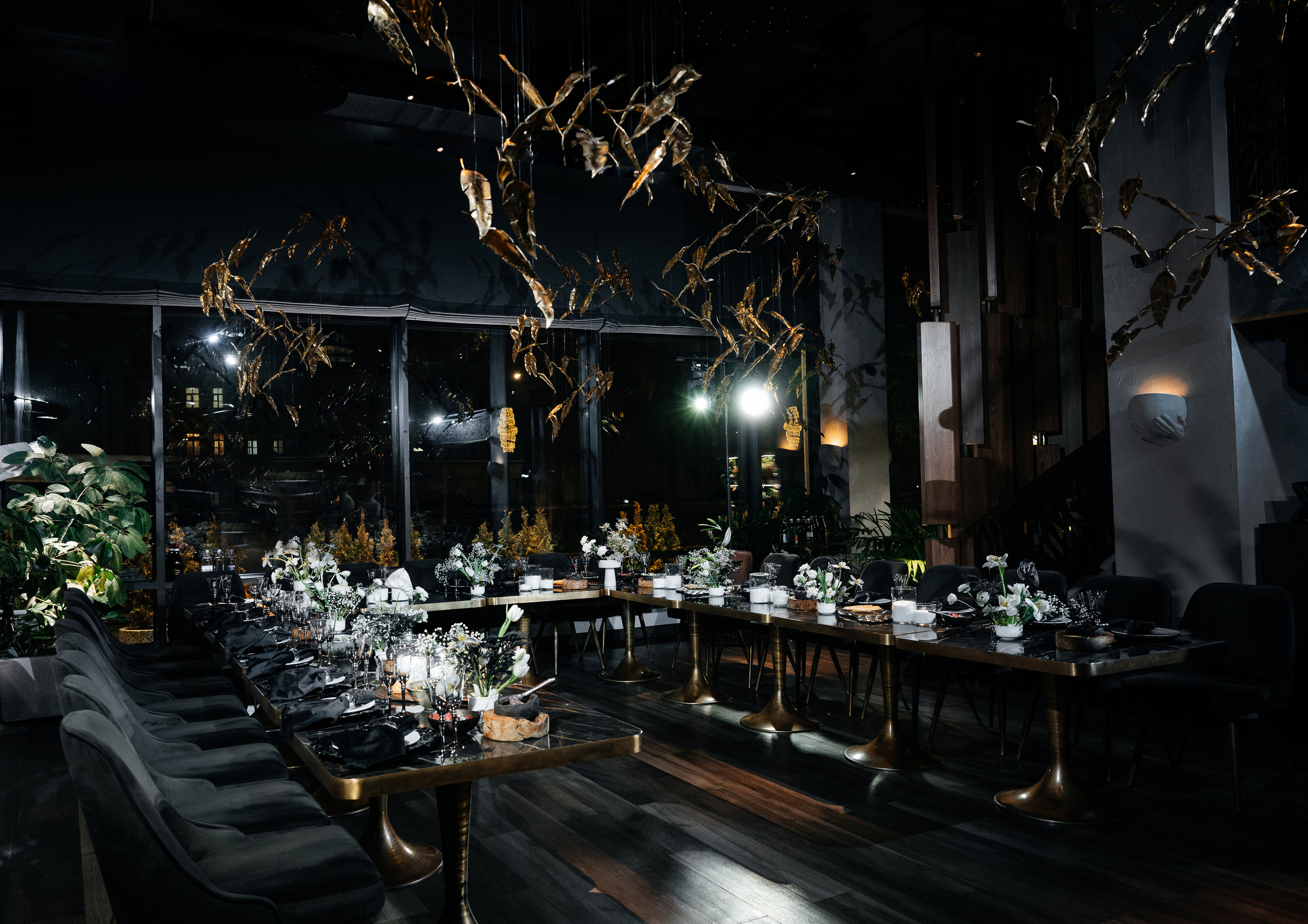 День Рождения Дмитрия. Wedding photographer in Moscow and around the world Andrey Medvednikov