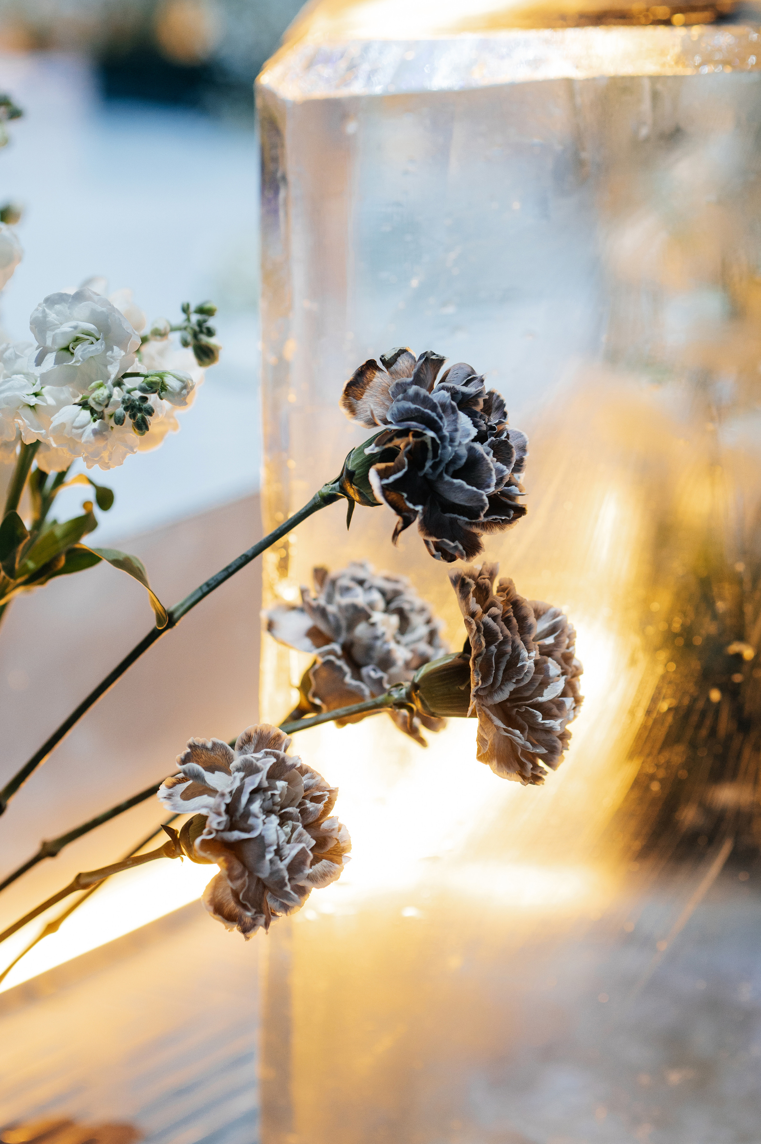 Предложение. Песнь льда и пламени. Свадебный фотограф в Москве и по всему Миру Андрей Медведников