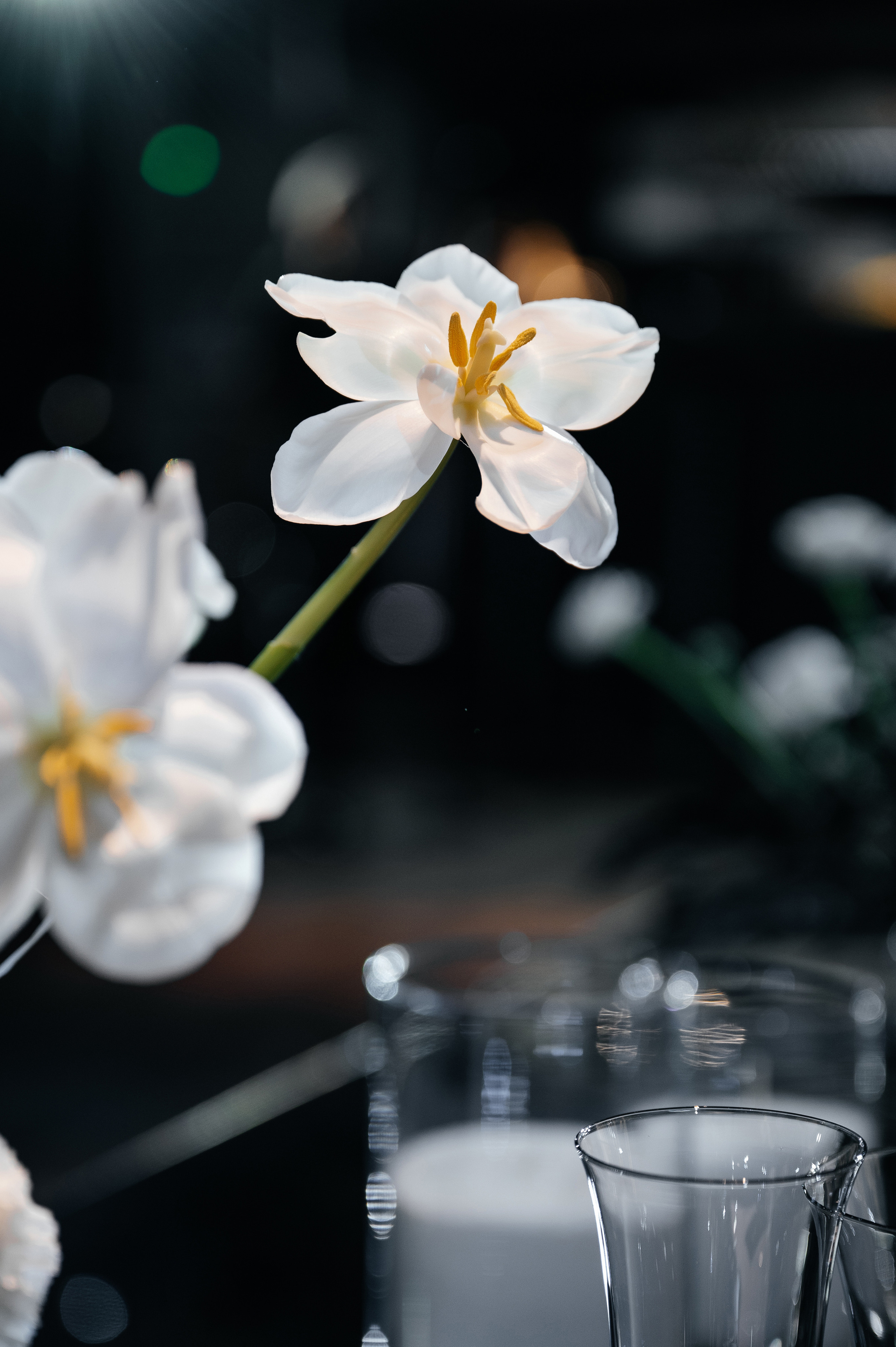 День Рождения Дмитрия. Wedding photographer in Moscow and around the world Andrey Medvednikov