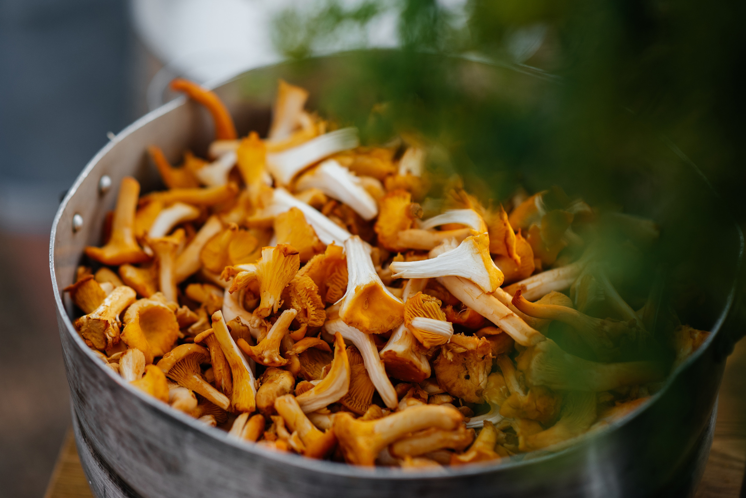 Светский ужин. Wedding photographer in Moscow and around the world Andrey Medvednikov