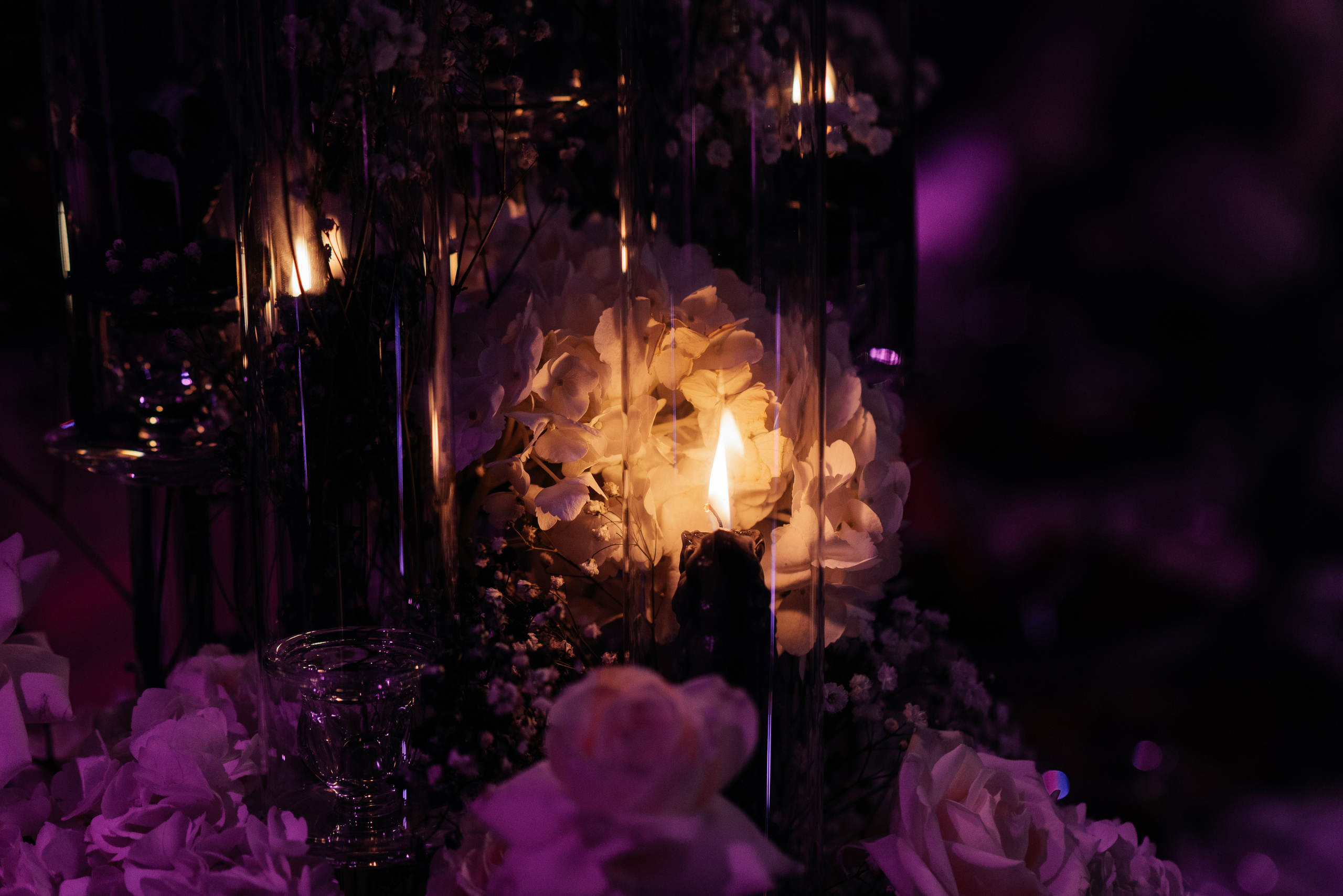 День Рождения Алексея. Wedding photographer in Moscow and around the world Andrey Medvednikov