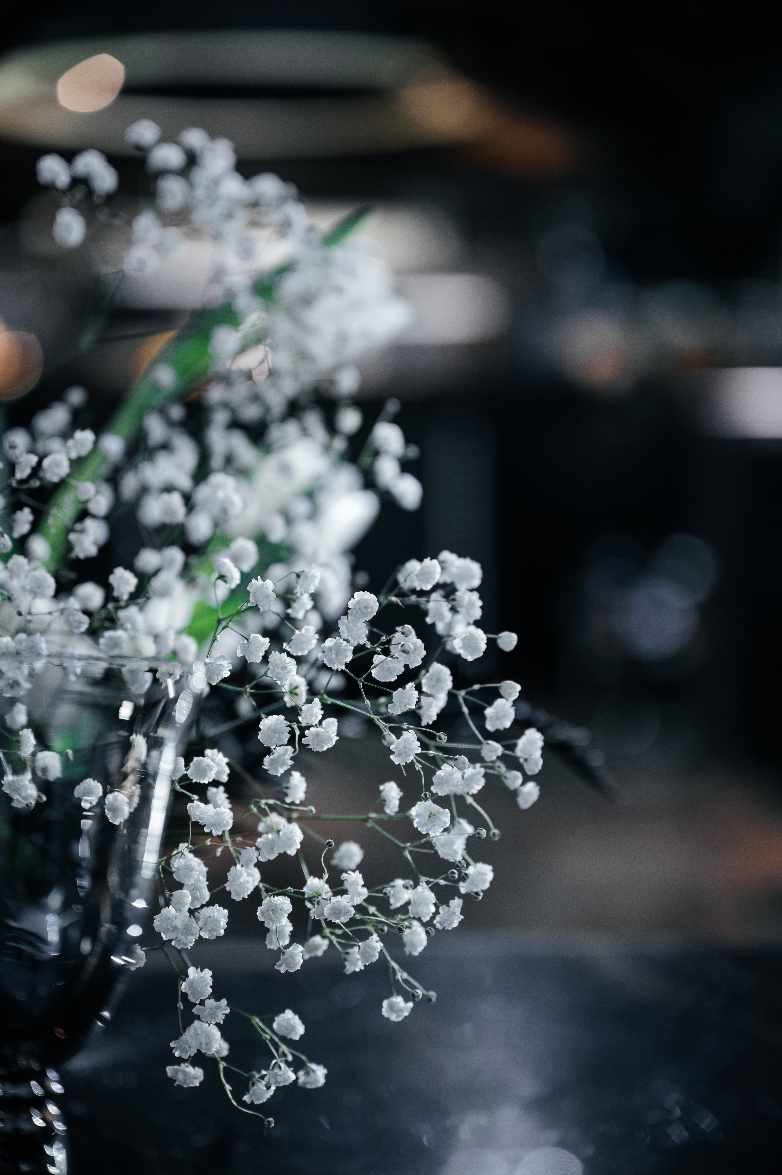 День Рождения Дмитрия. Wedding photographer in Moscow and around the world Andrey Medvednikov