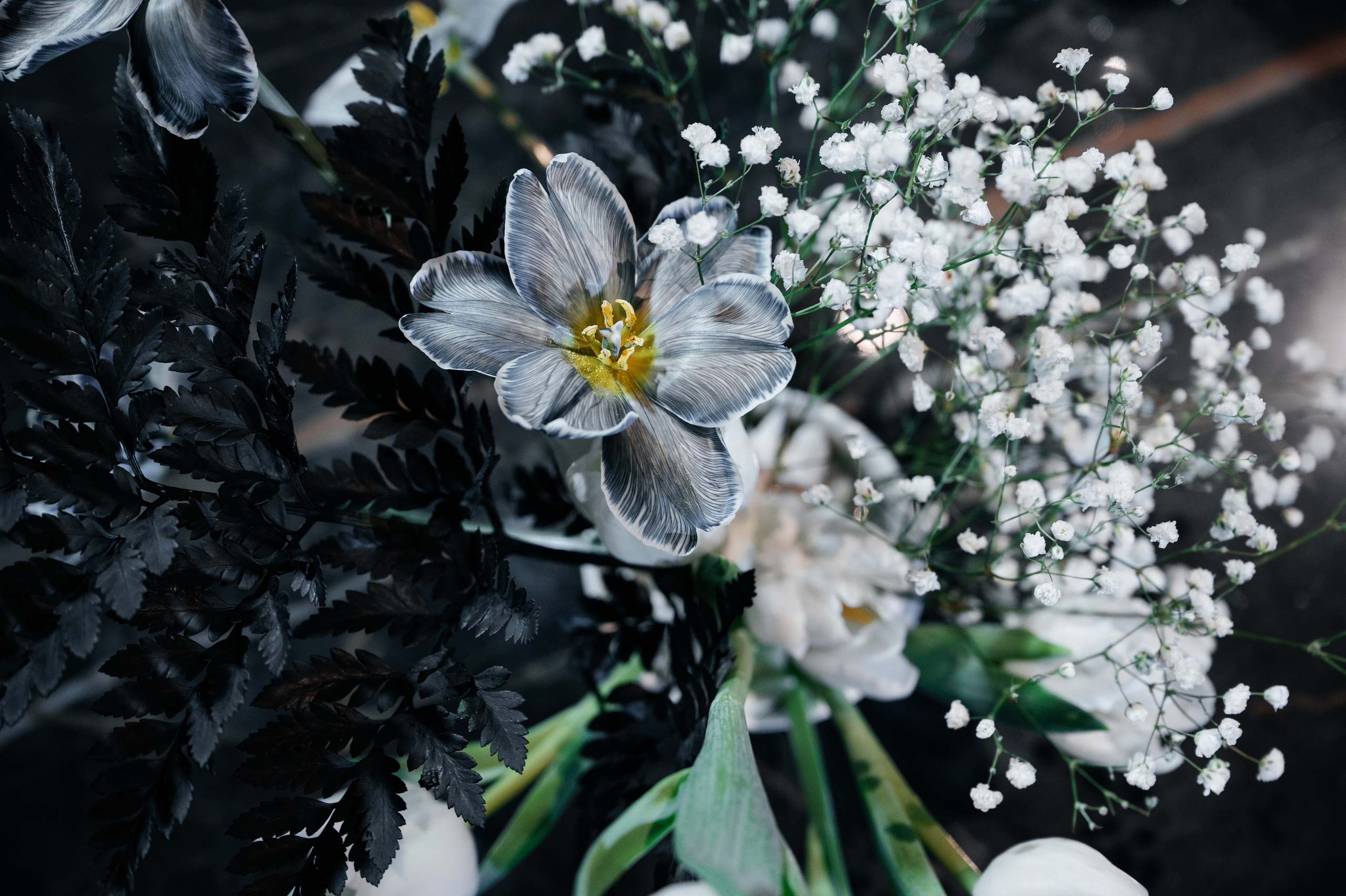 День Рождения Дмитрия. Wedding photographer in Moscow and around the world Andrey Medvednikov