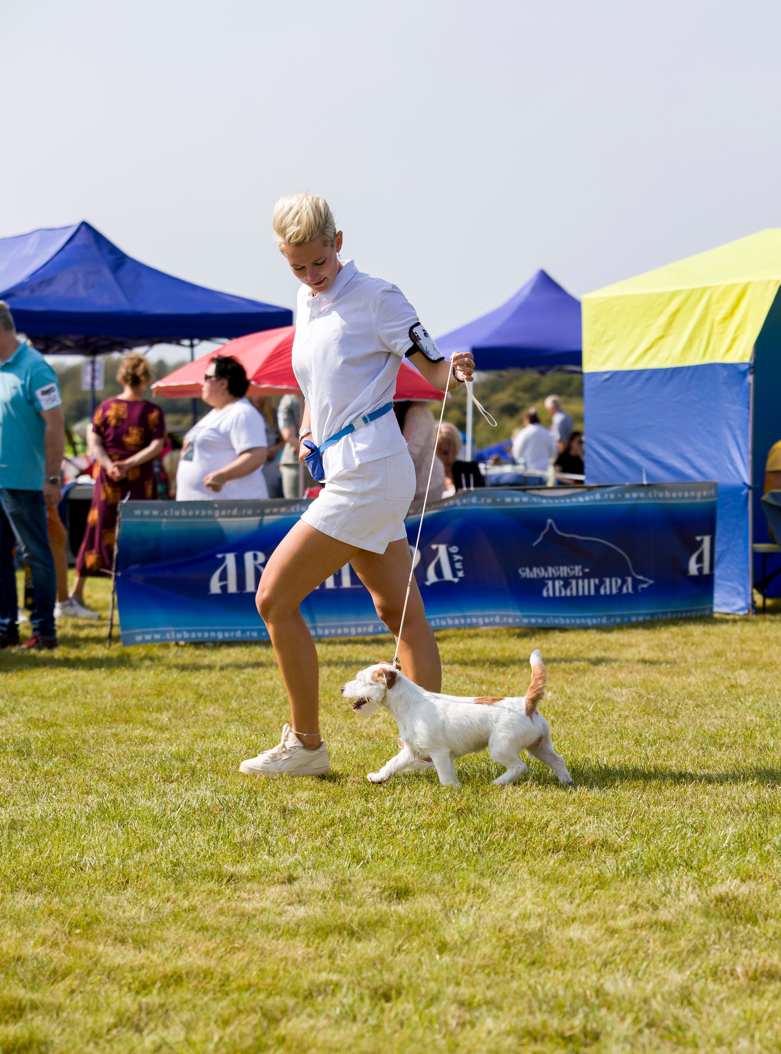 Выставки. Фотограф — анималист Татьяна Ли