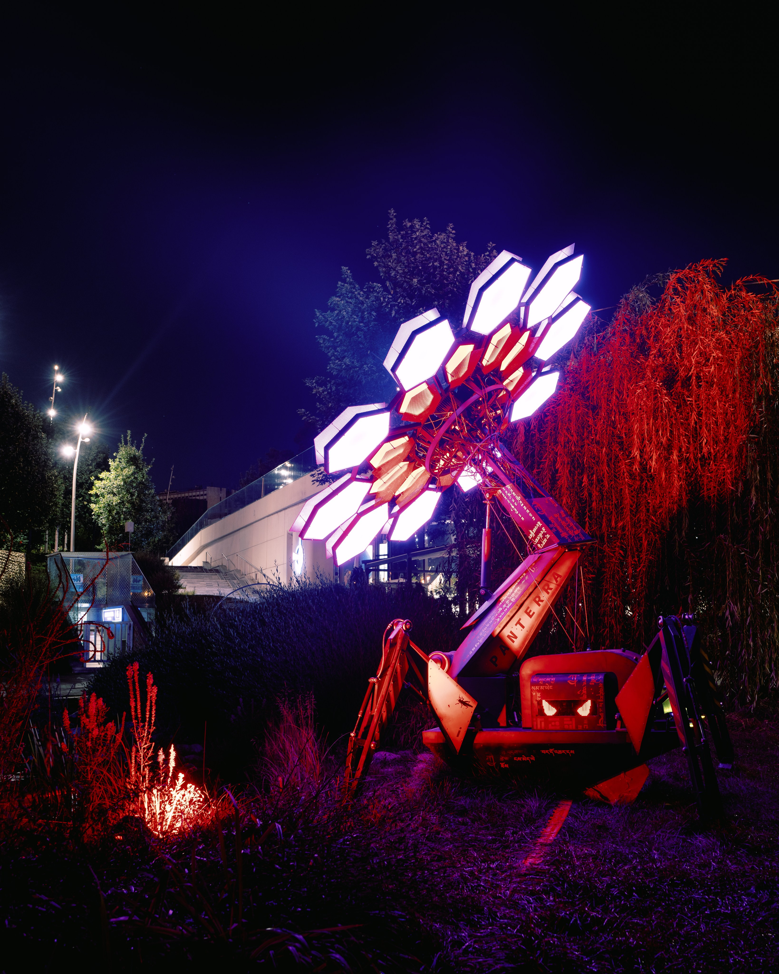 PANTERRA, Cyber Flower. @tomrus: Рустам Шагиморданов — фотограф