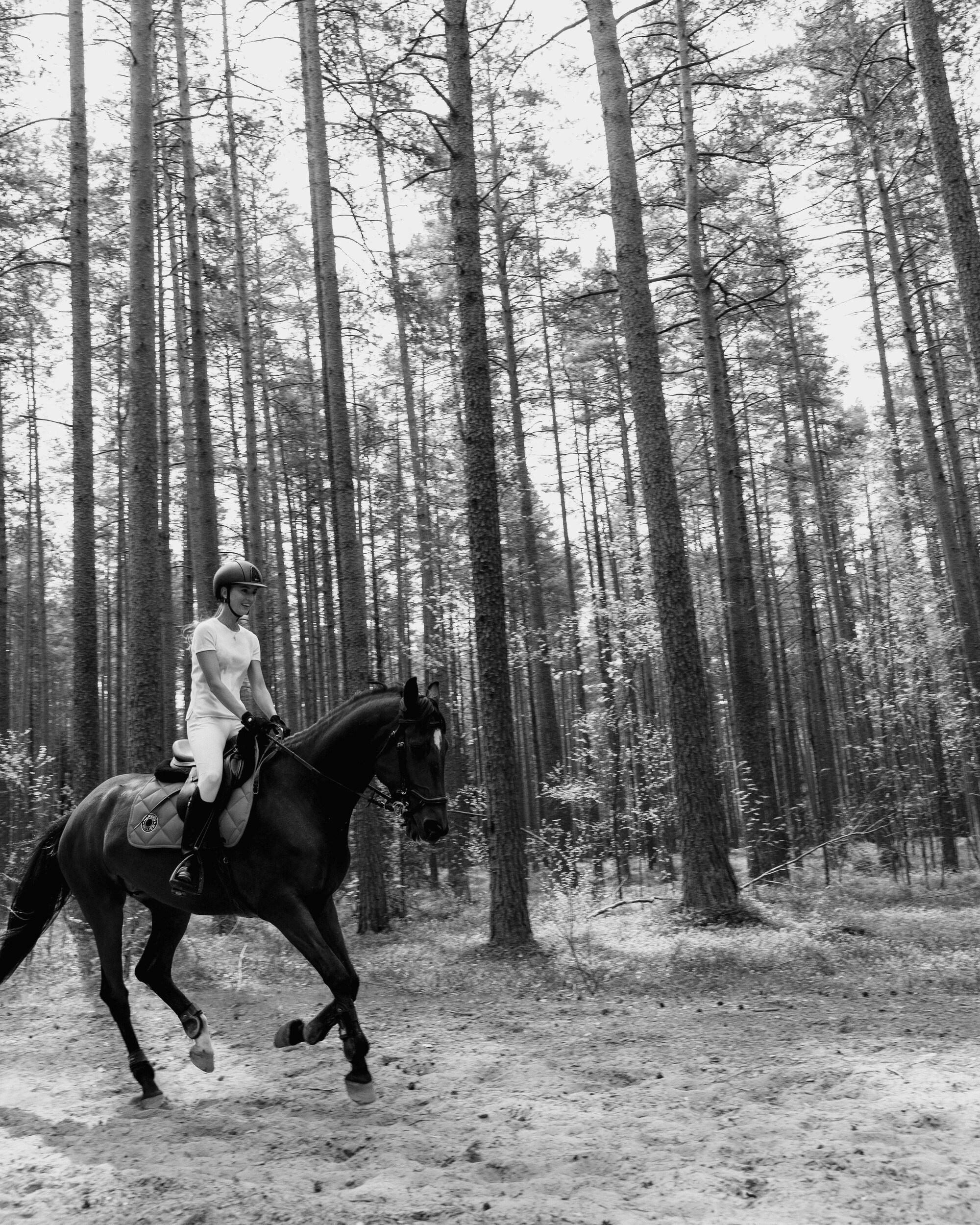 КОНИ. Свадебный фотограф в Санкт‑Петербурге Елена Пчельникова