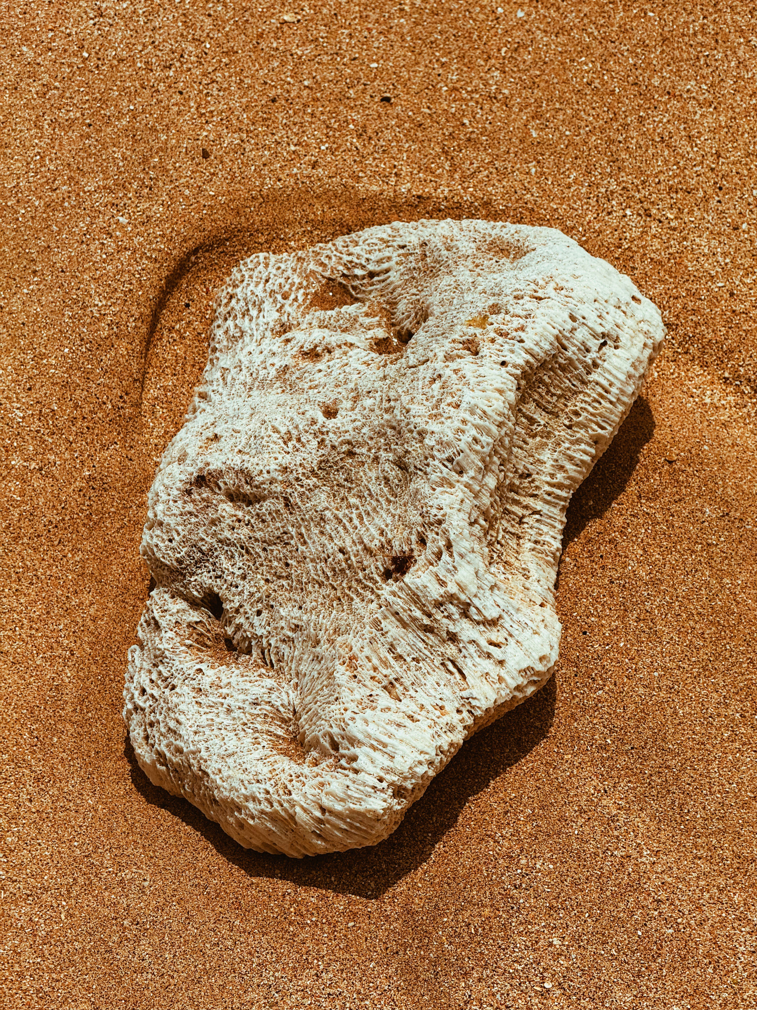 Elements. Carolinetru