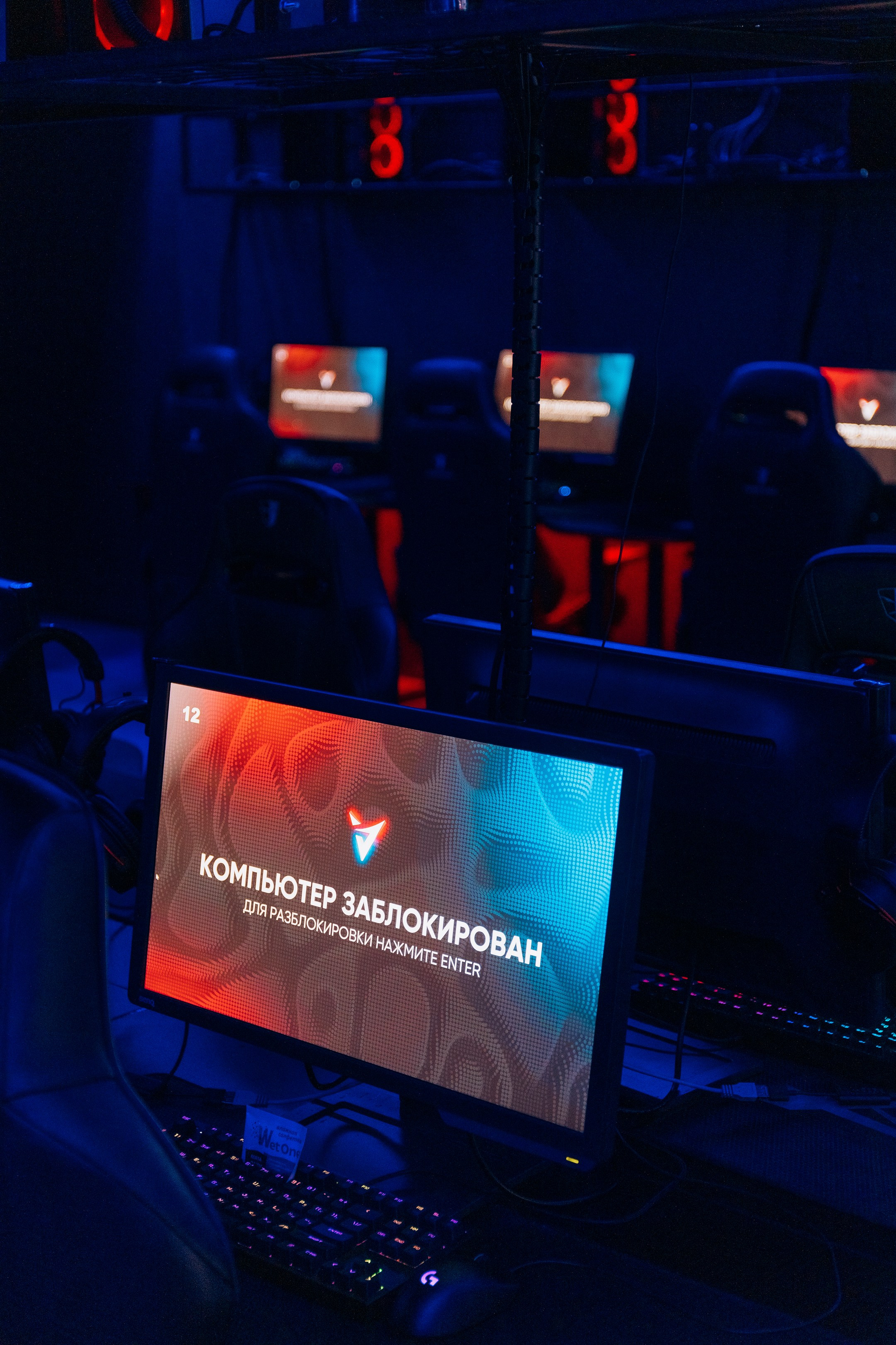 Компьютерный клуб «Вертикаль». Свадебный фотограф Пенза