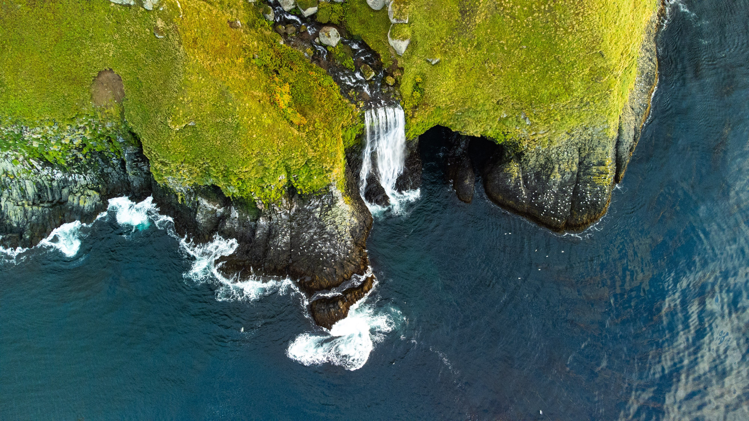 Экспедиция по Северным Курильским островам с Vasta. Фотограф Красная Поляна — Сочи — Москва